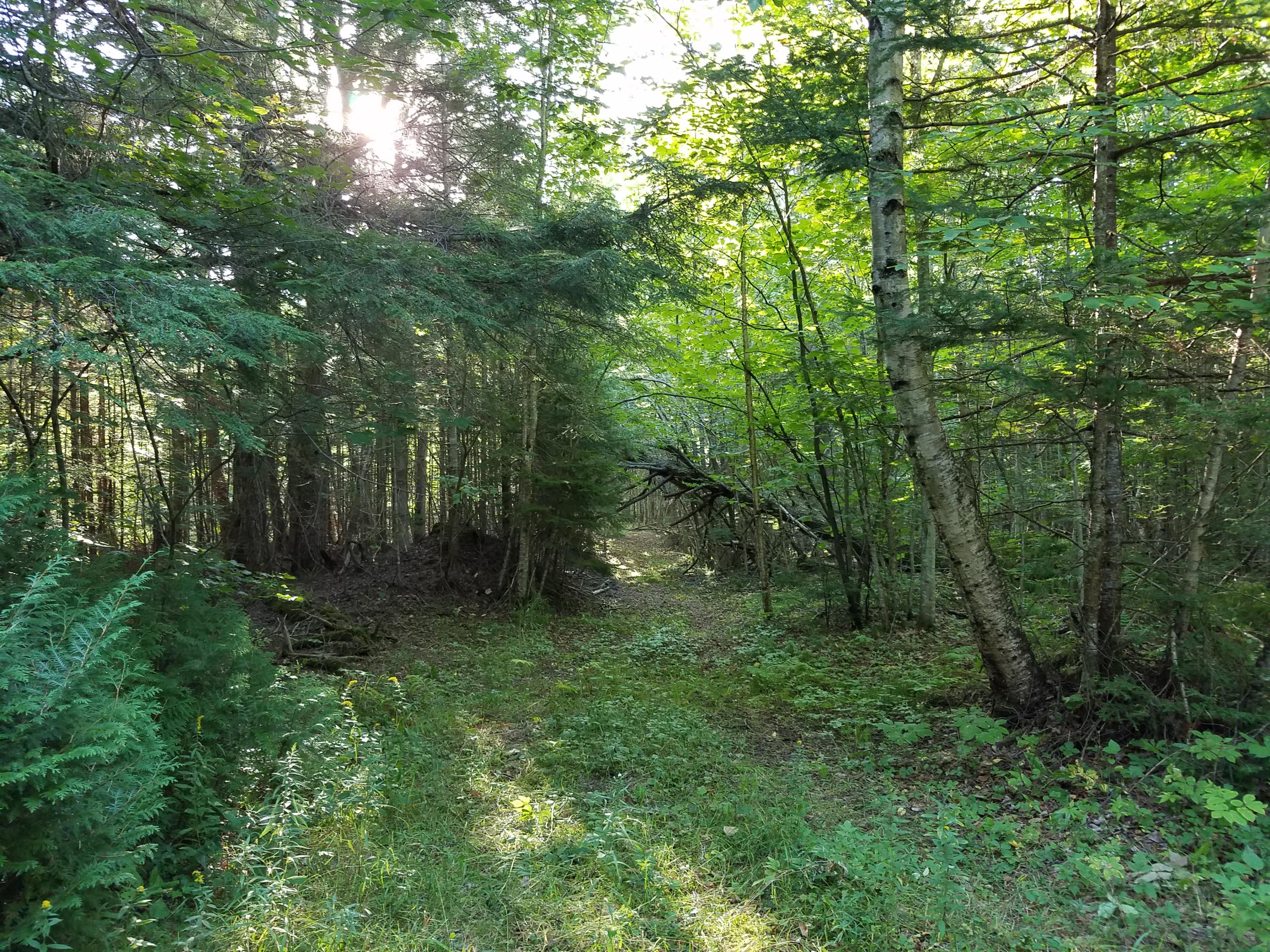 Fenlon Rd Street St. Ignace, MI 49781 - Photo 18 of 21 Gallery Image 18