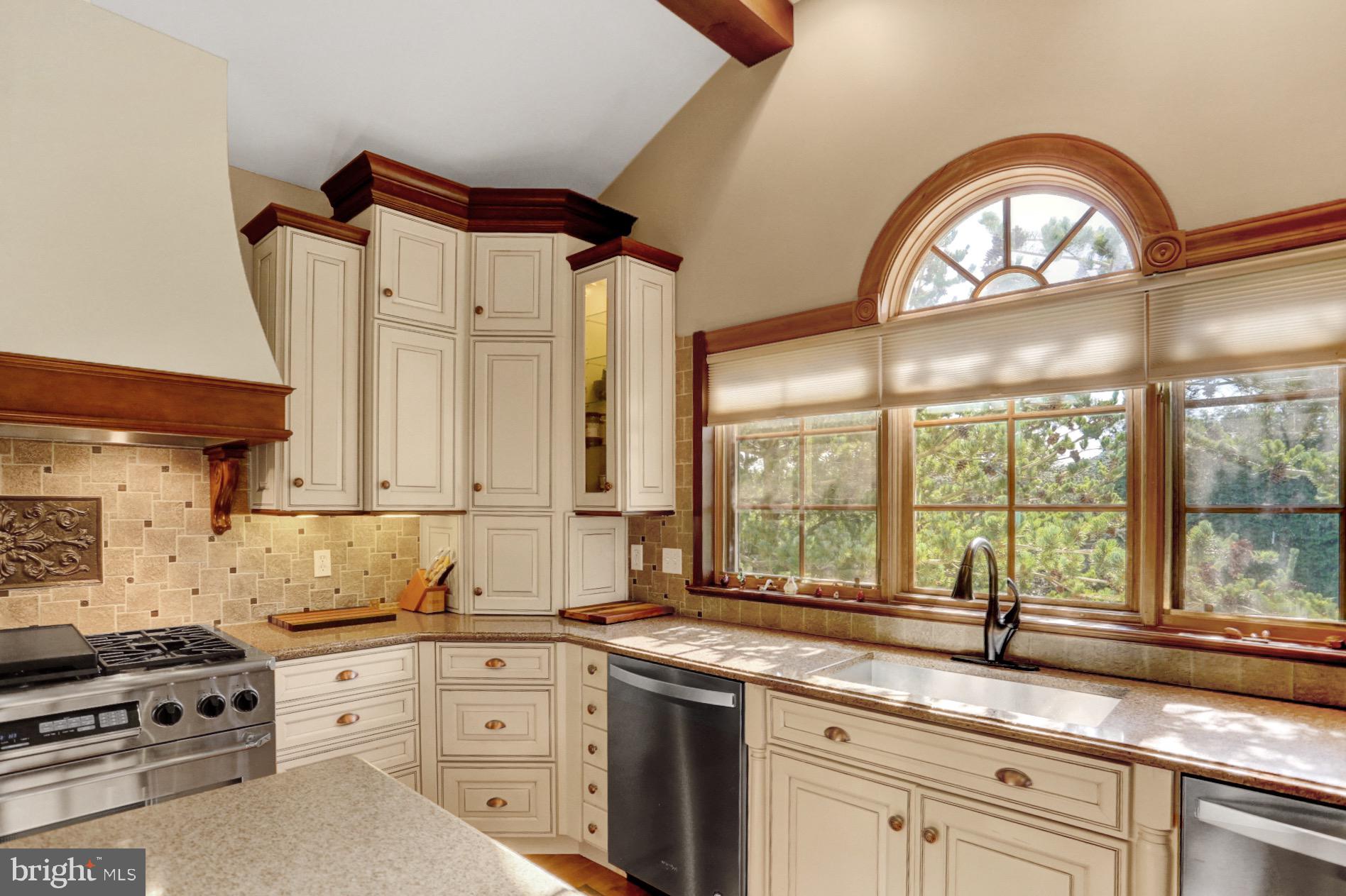 298 Heffner Road Wernersville, PA 19565 - Photo 20 of 58 Dacor Double Dishwashers