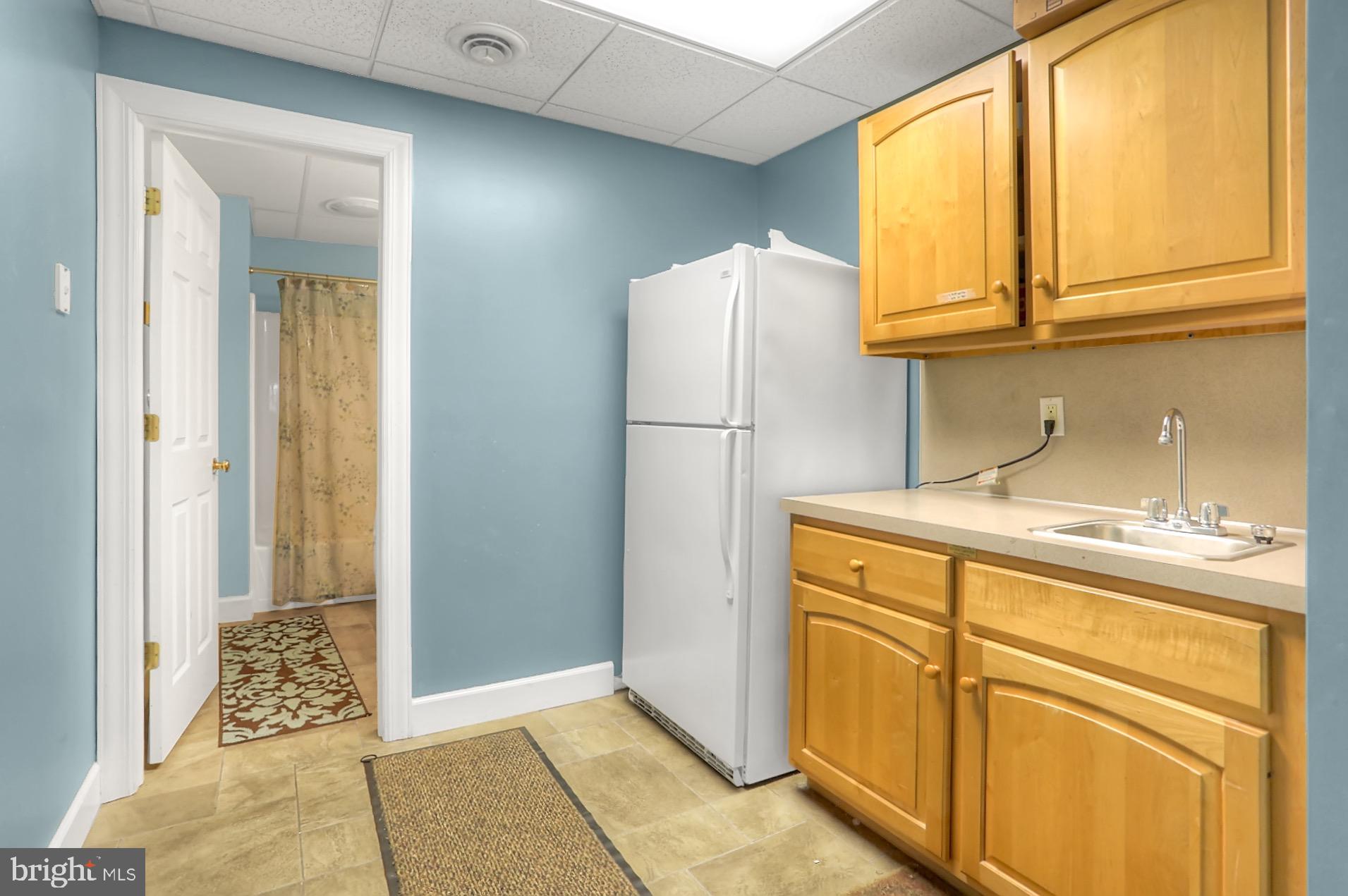 298 Heffner Road Wernersville, PA 19565 - Photo 45 of 58 Lower Level Kitchenette