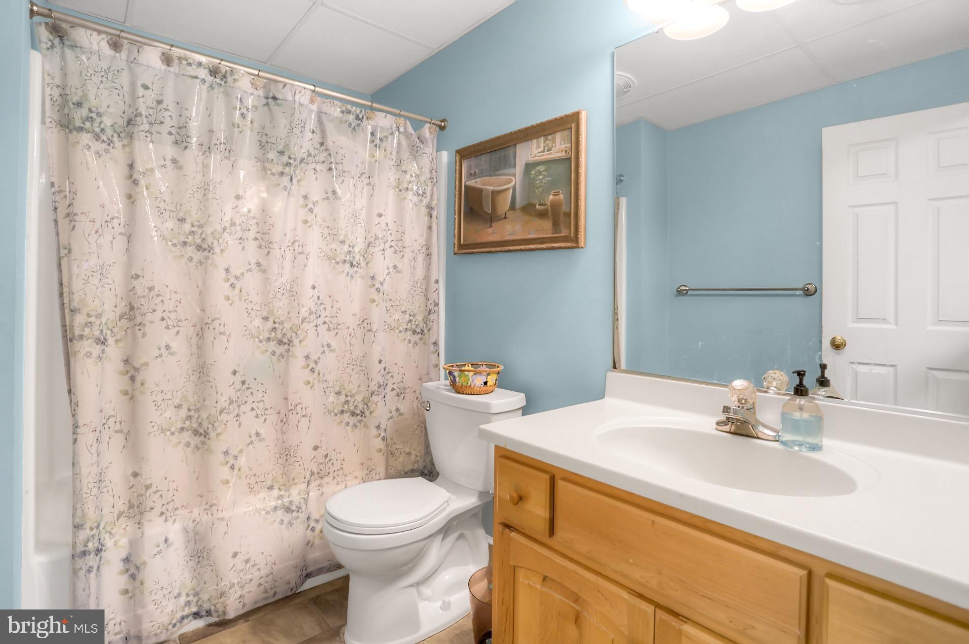 298 Heffner Road Wernersville, PA 19565 - Photo 46 of 58 Lower Level Full Bath