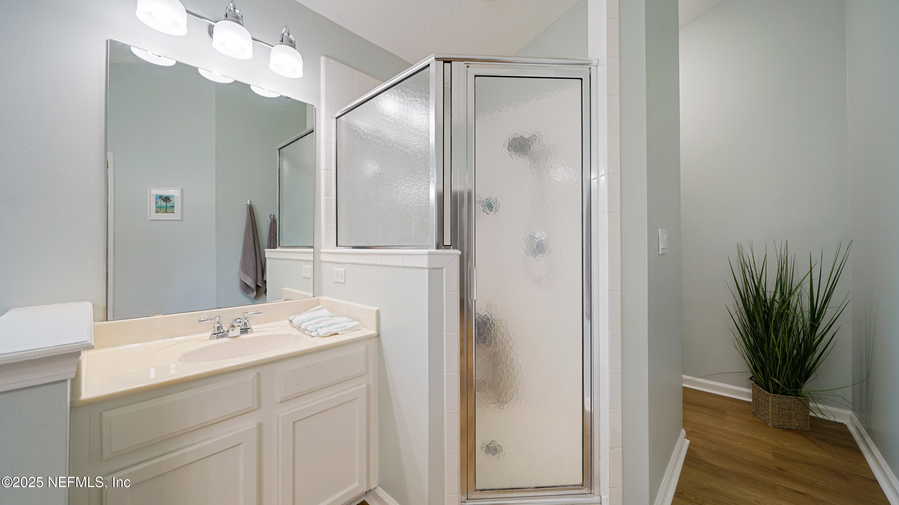 2020 Spring Meadows Court St. Augustine, FL 32092 - Photo 23 of 45 a bathroom with a sink a mirror and a shower