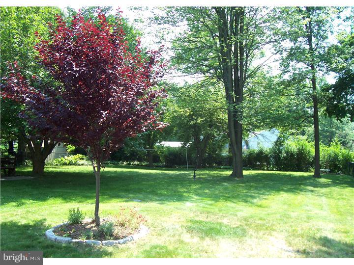 47 Bright Road Hatboro, PA 19040 - Photo 18 of 21 Back Yard