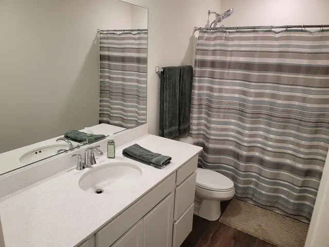 a bathroom with a shower and a toilet