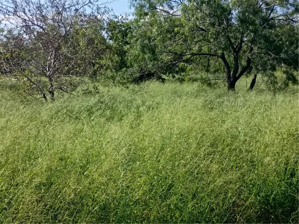 $84,103 | 364 Deer Meadows Drive, Alice, TX 78332