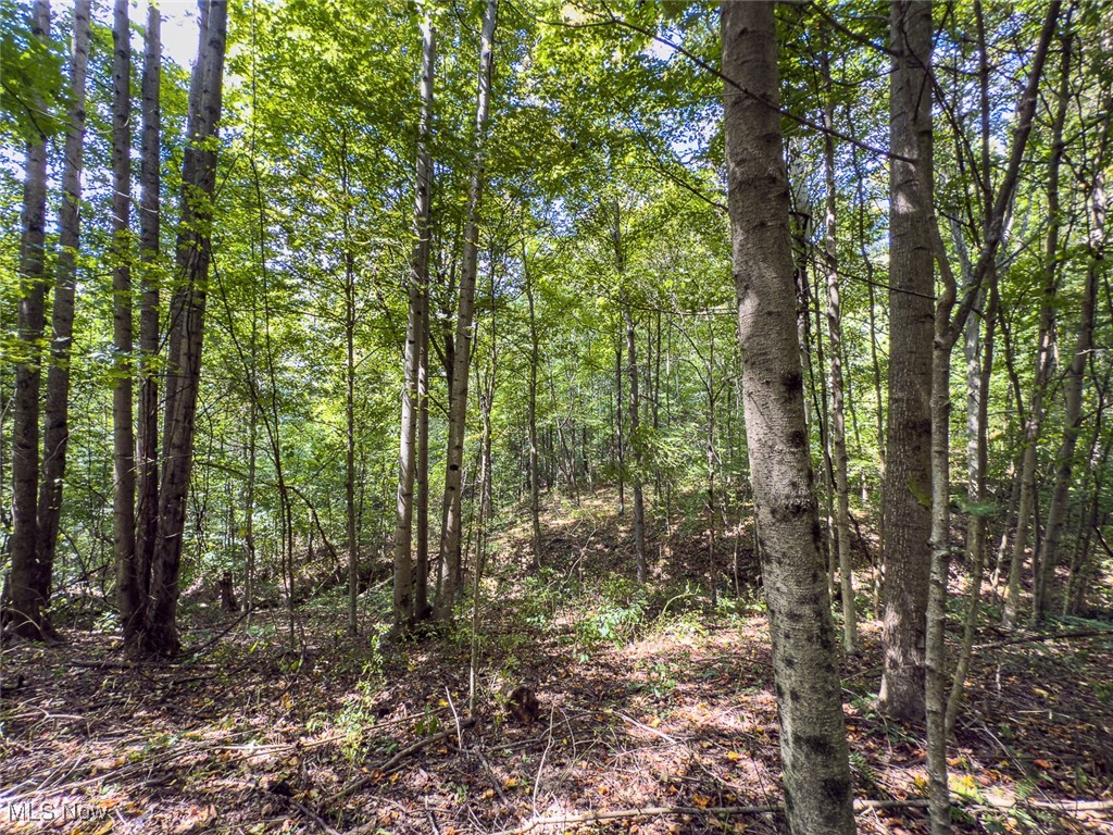 0 Rado Ridge Road Caldwell, OH 43724 - Photo 9 of 39 Gallery Image 9
