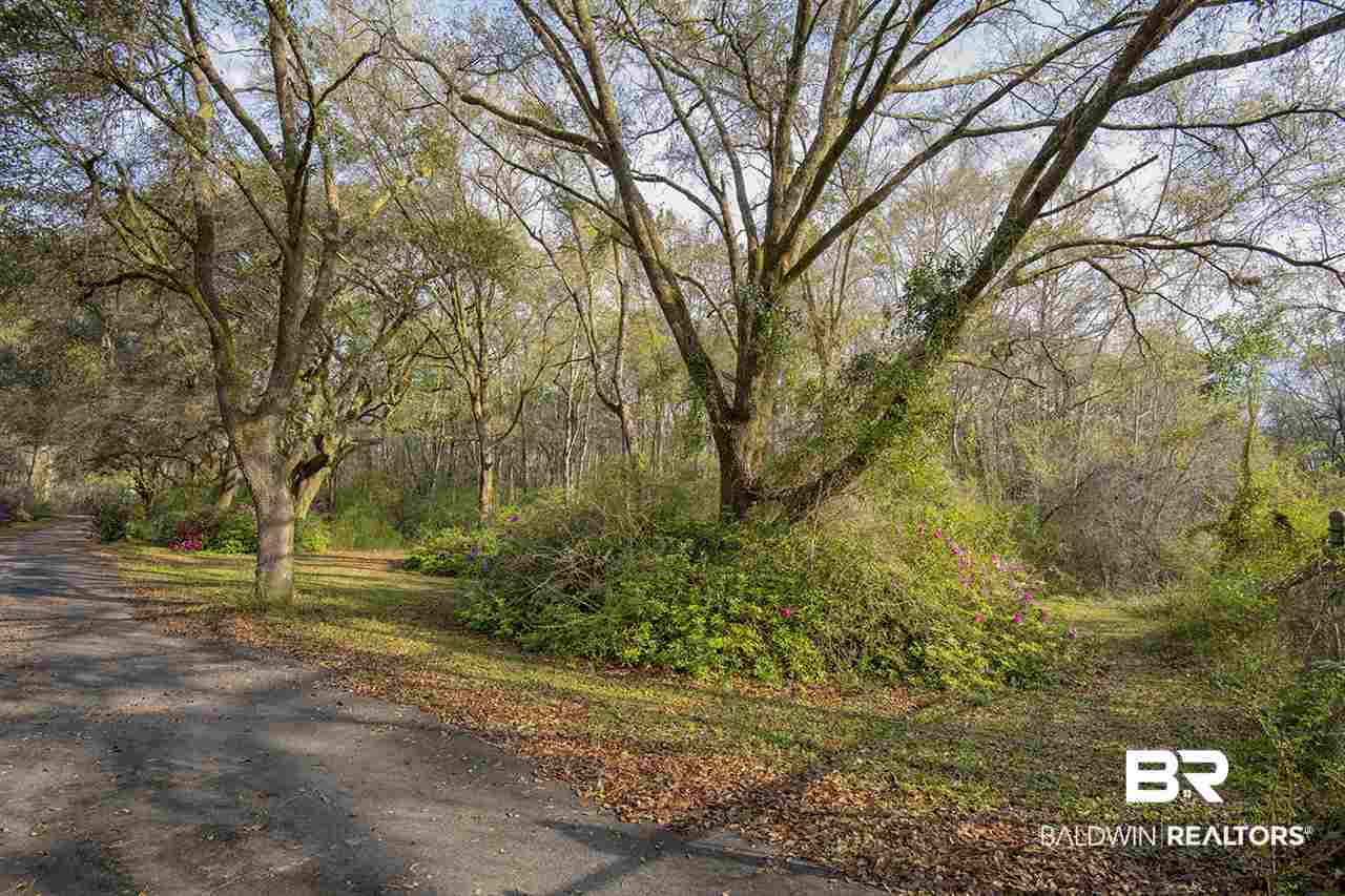 123 Sandhill Drive Eight Mile, AL 36613 - Photo 5 of 27