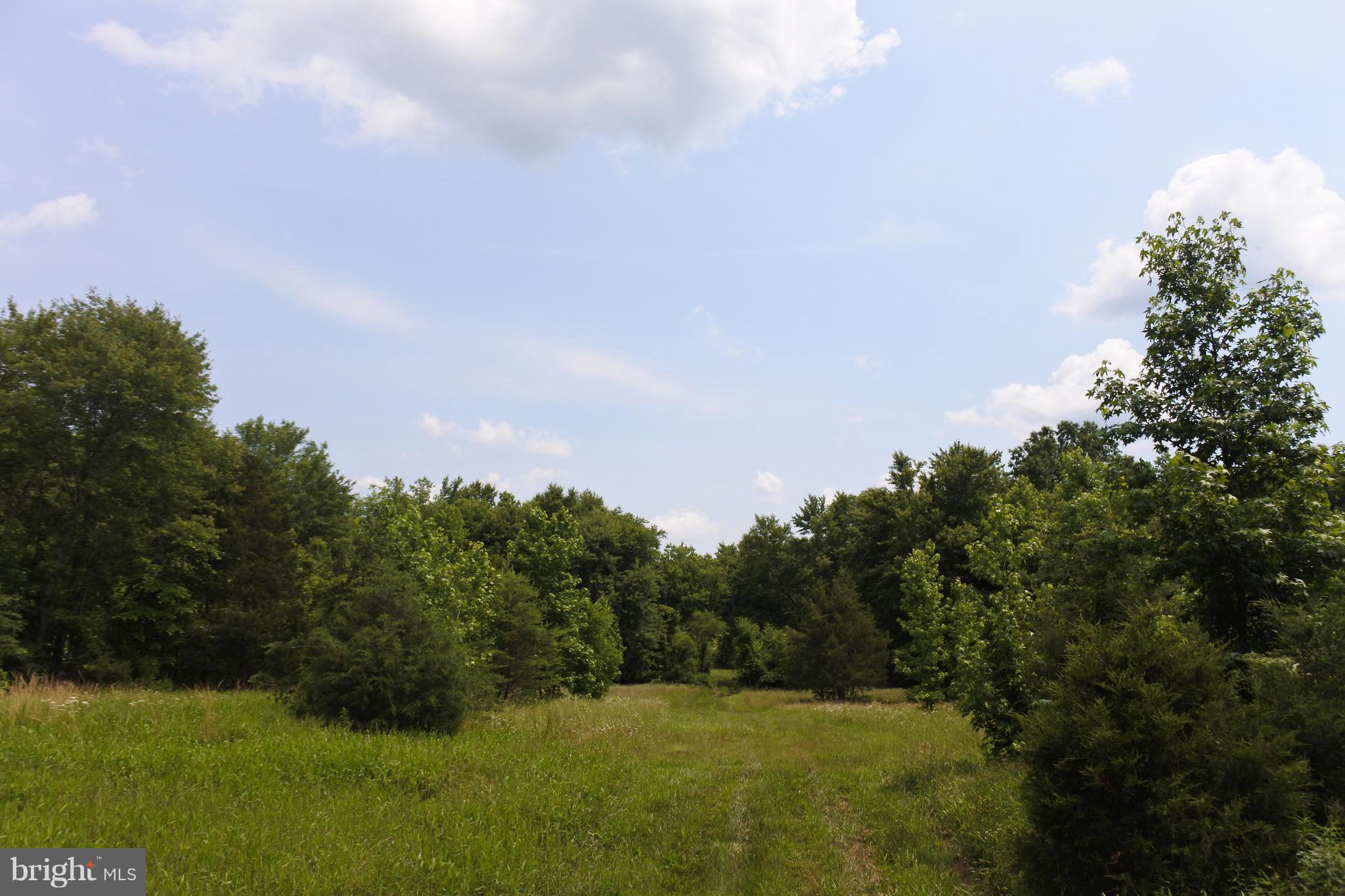 3454 Rock Run Road Goldvein, VA 22720 - Photo 14 of 21 View