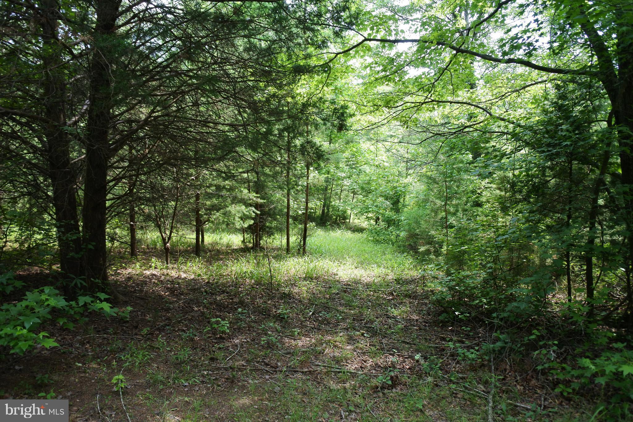 3454 Rock Run Road Goldvein, VA 22720 - Photo 17 of 21 View