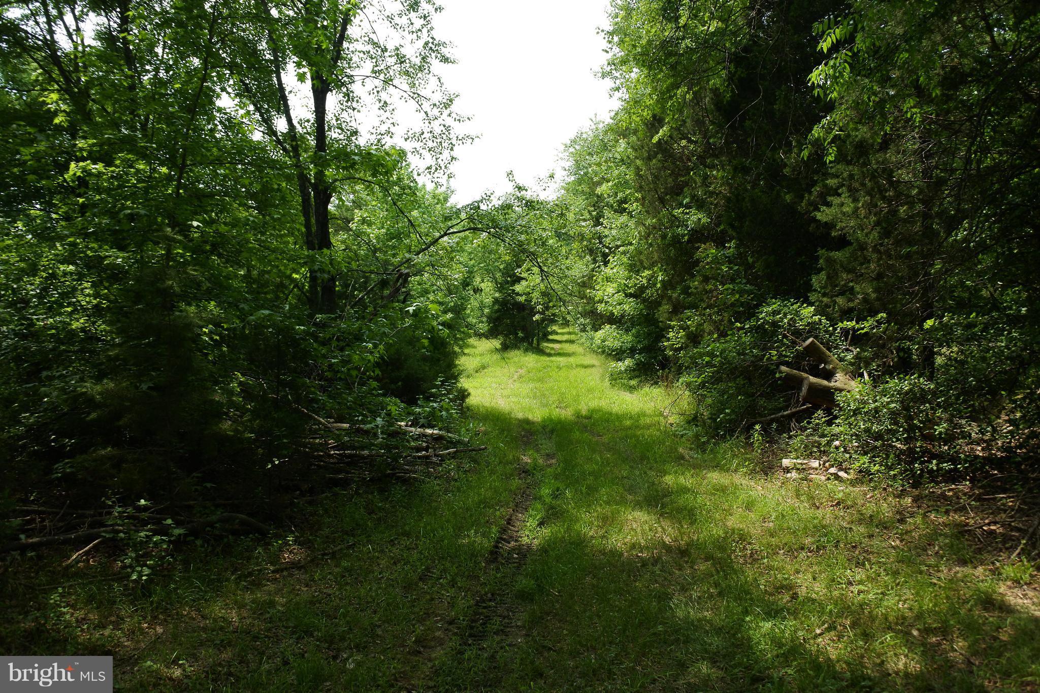 3454 Rock Run Road Goldvein, VA 22720 - Photo 21 of 21 View