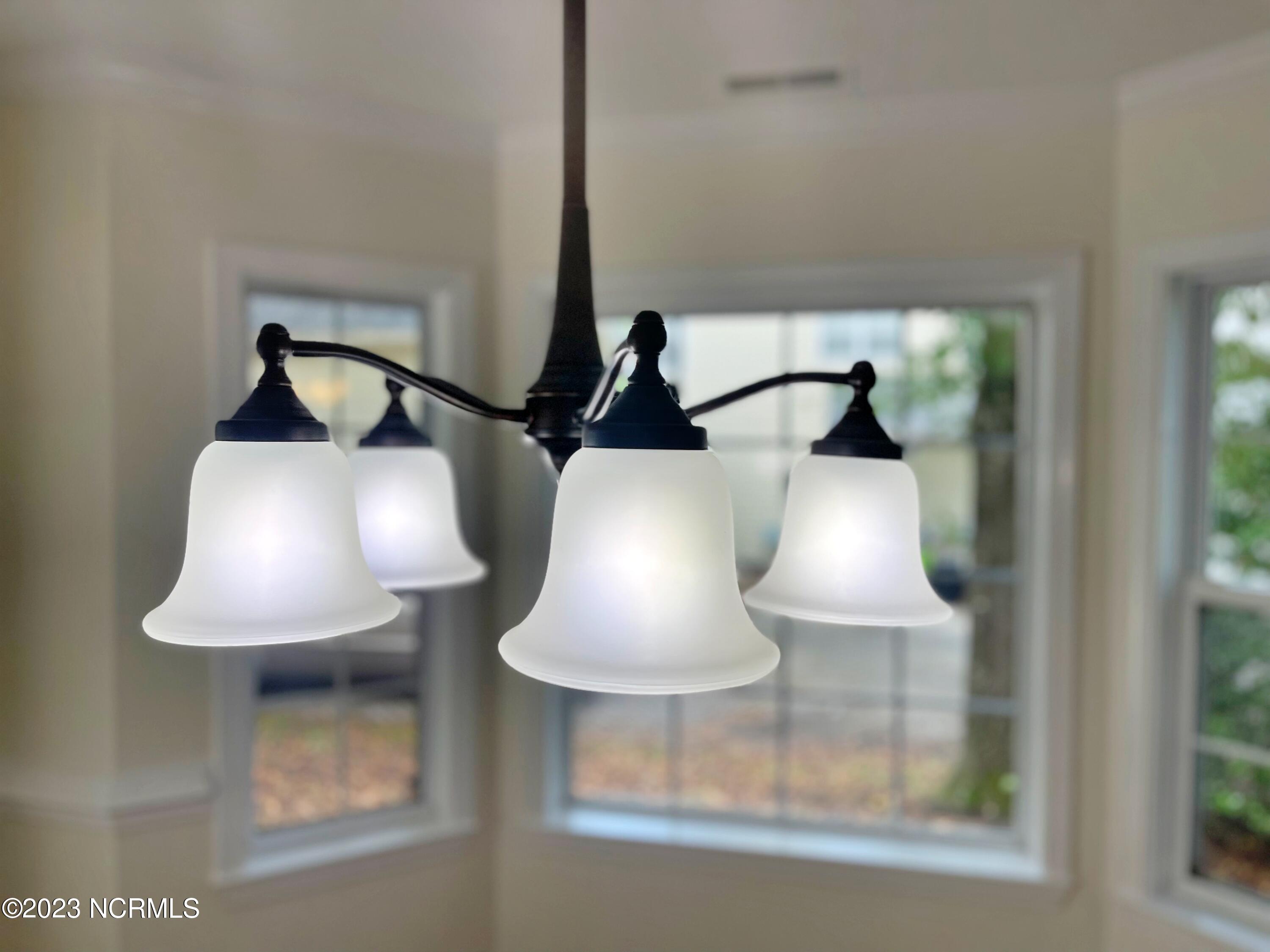 552 Deer Run Road New Bern, NC 28562 - Photo 22 of 59 DINING LIGHT