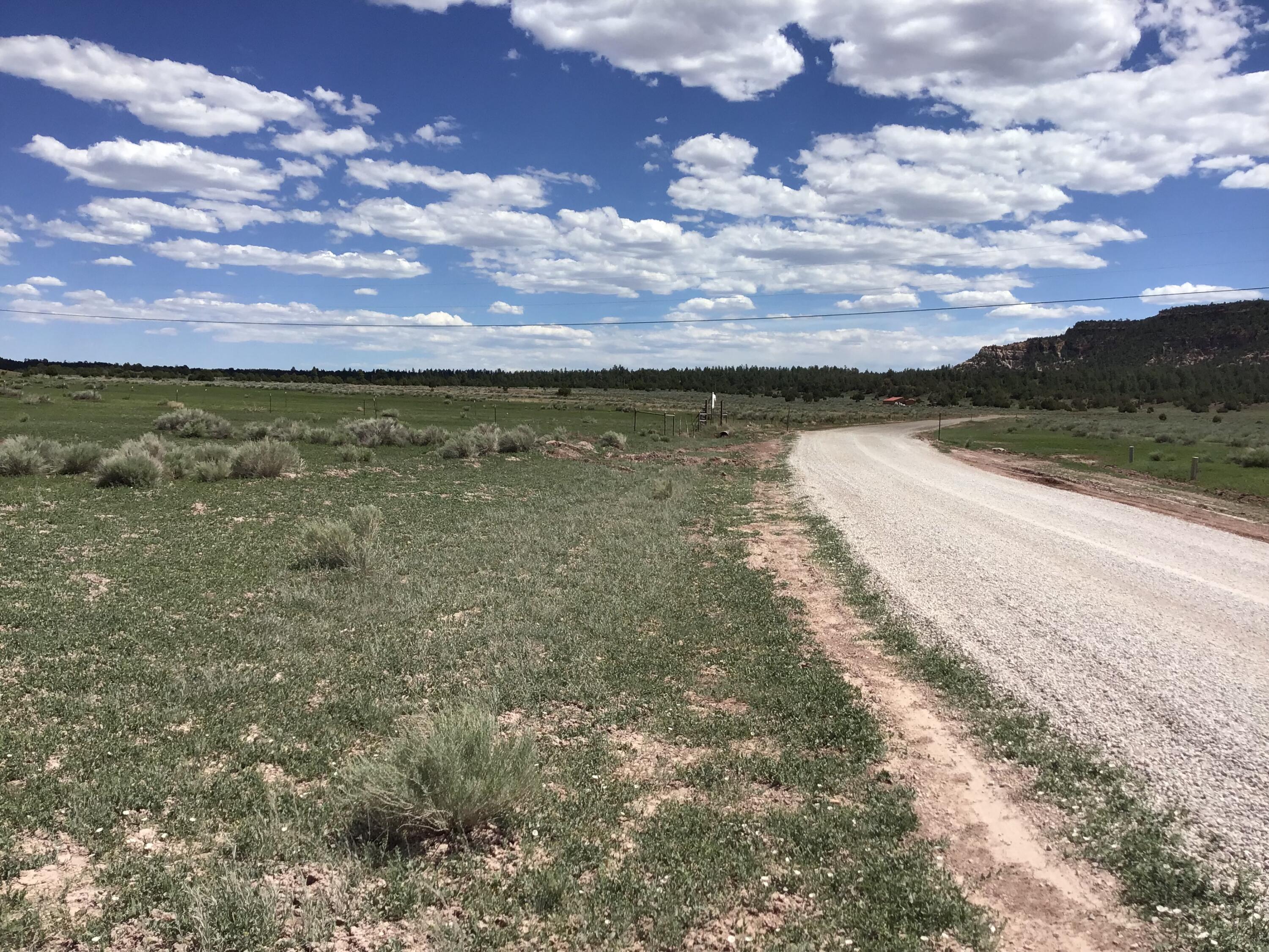 Lot D Timberlake Road Ramah, NM 87321 - Photo 37 of 45 Gallery Image 37