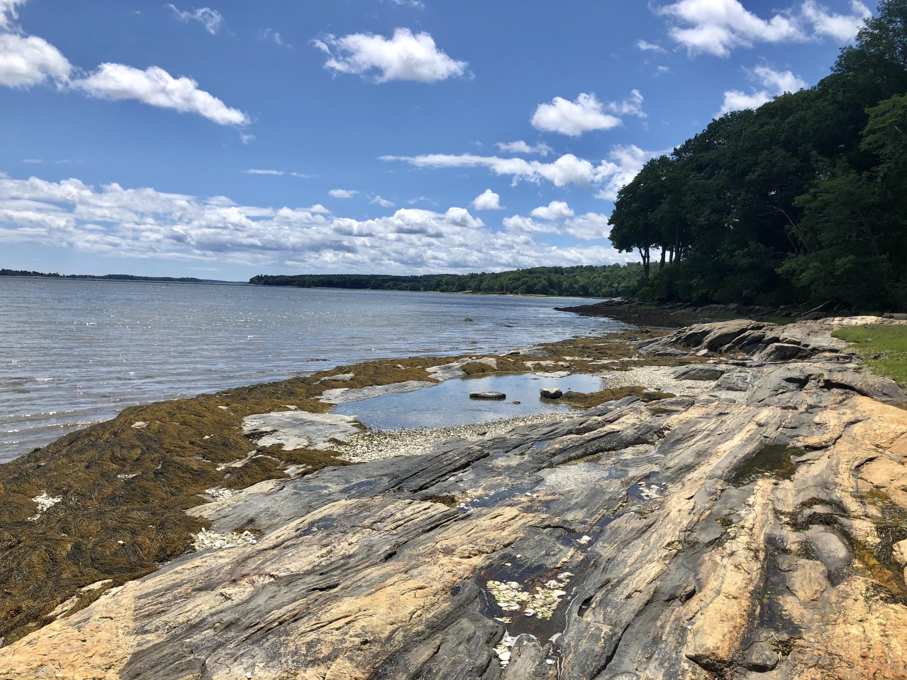 66 Schooner Ridge Road Cumberland, ME 04110 - Photo 6 of 35 IMG_6203