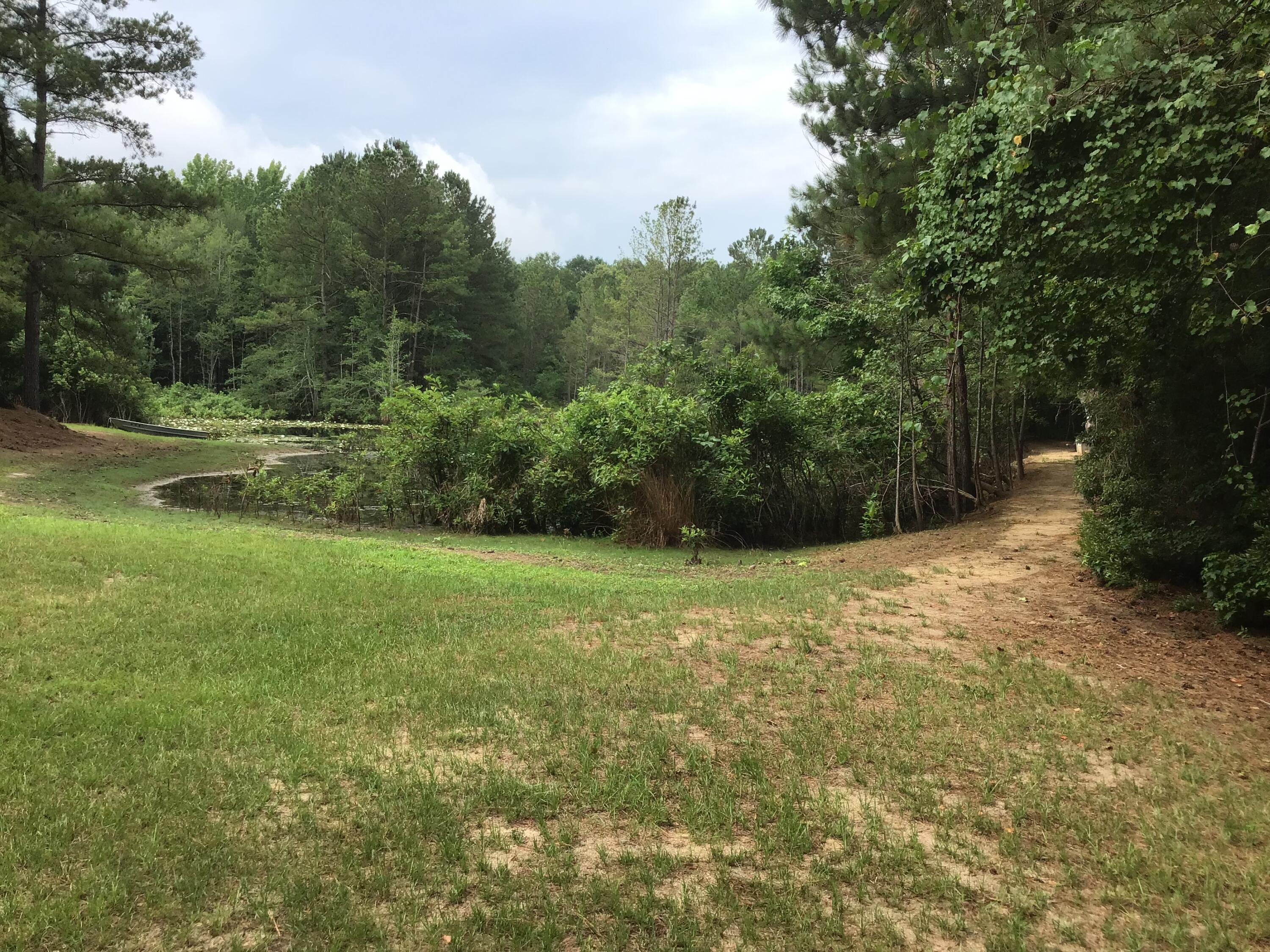 47 Peele Road Salley, SC 29137 - Photo 51 of 95