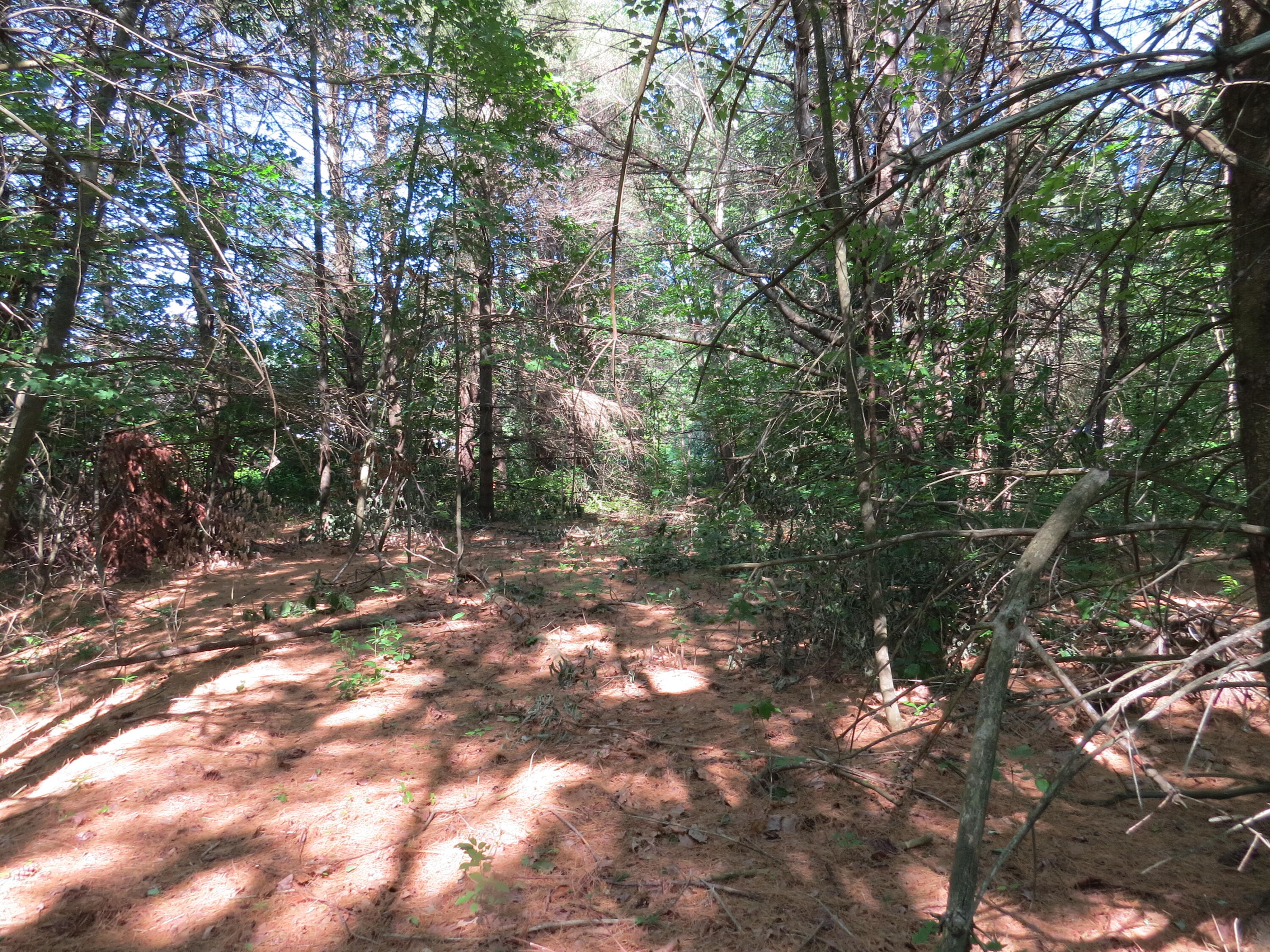 154 River Road Benton, ME 04901 - Photo 3 of 23 IMG_0006