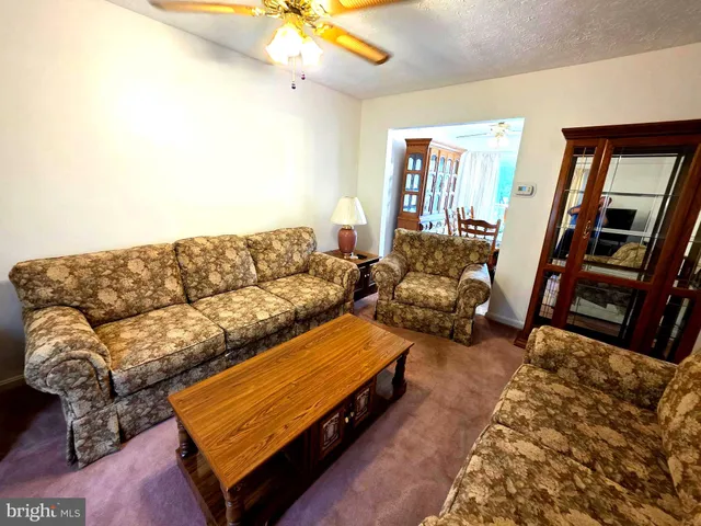 a living room with furniture and a couch