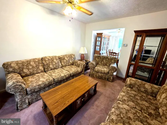 a living room with furniture and a couch