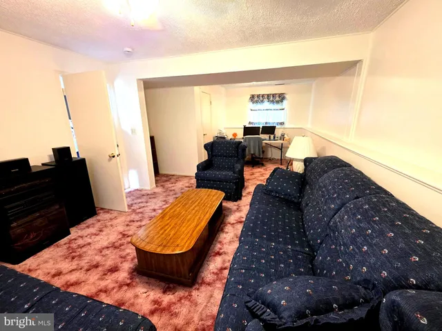 a living room with furniture and a lamp