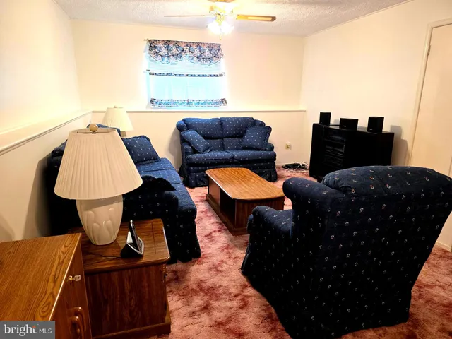 a living room with furniture rug and lamp
