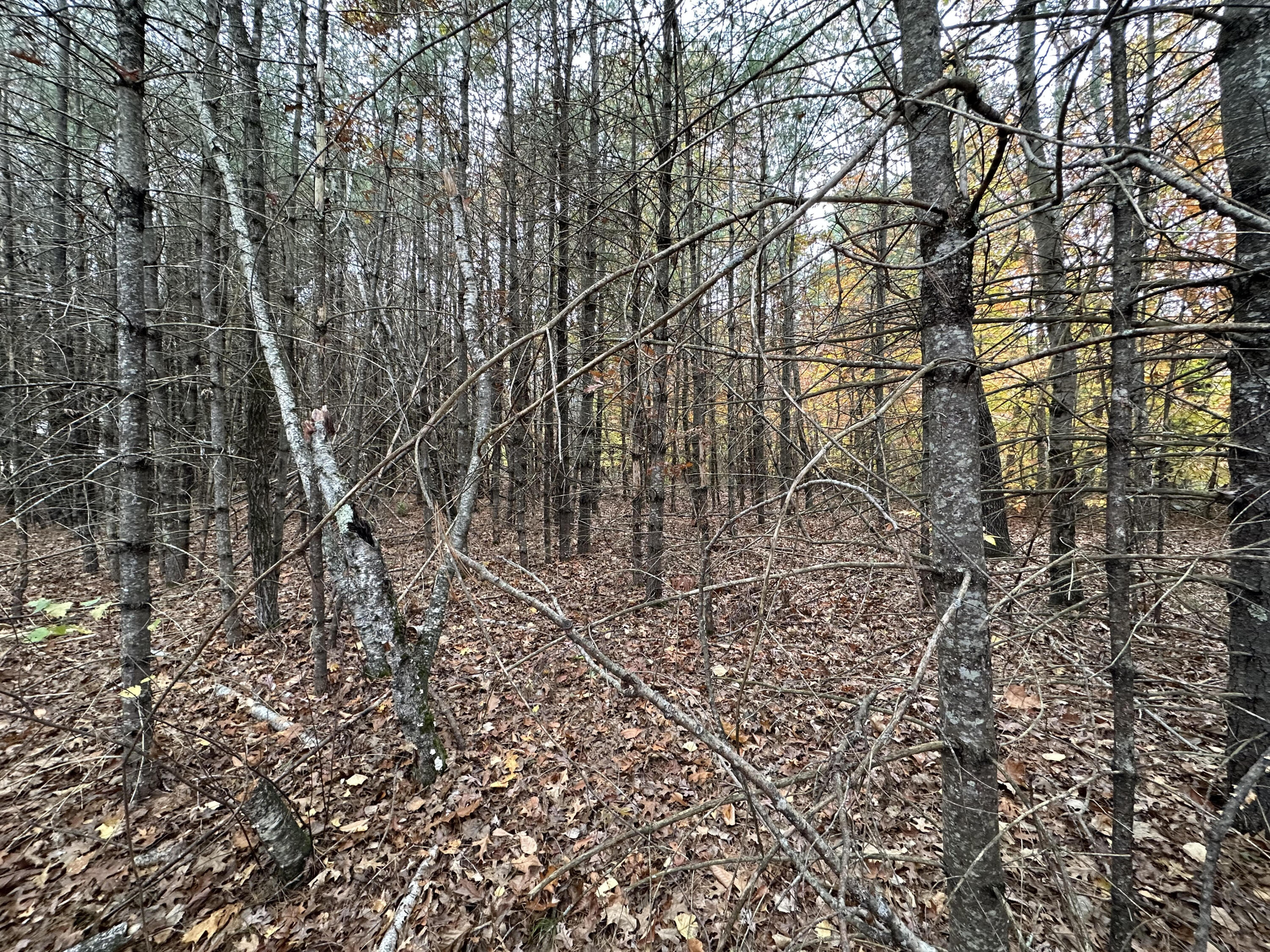 216 North Gorham Road Gorham, ME 04038 - Photo 4 of 5 Lot View