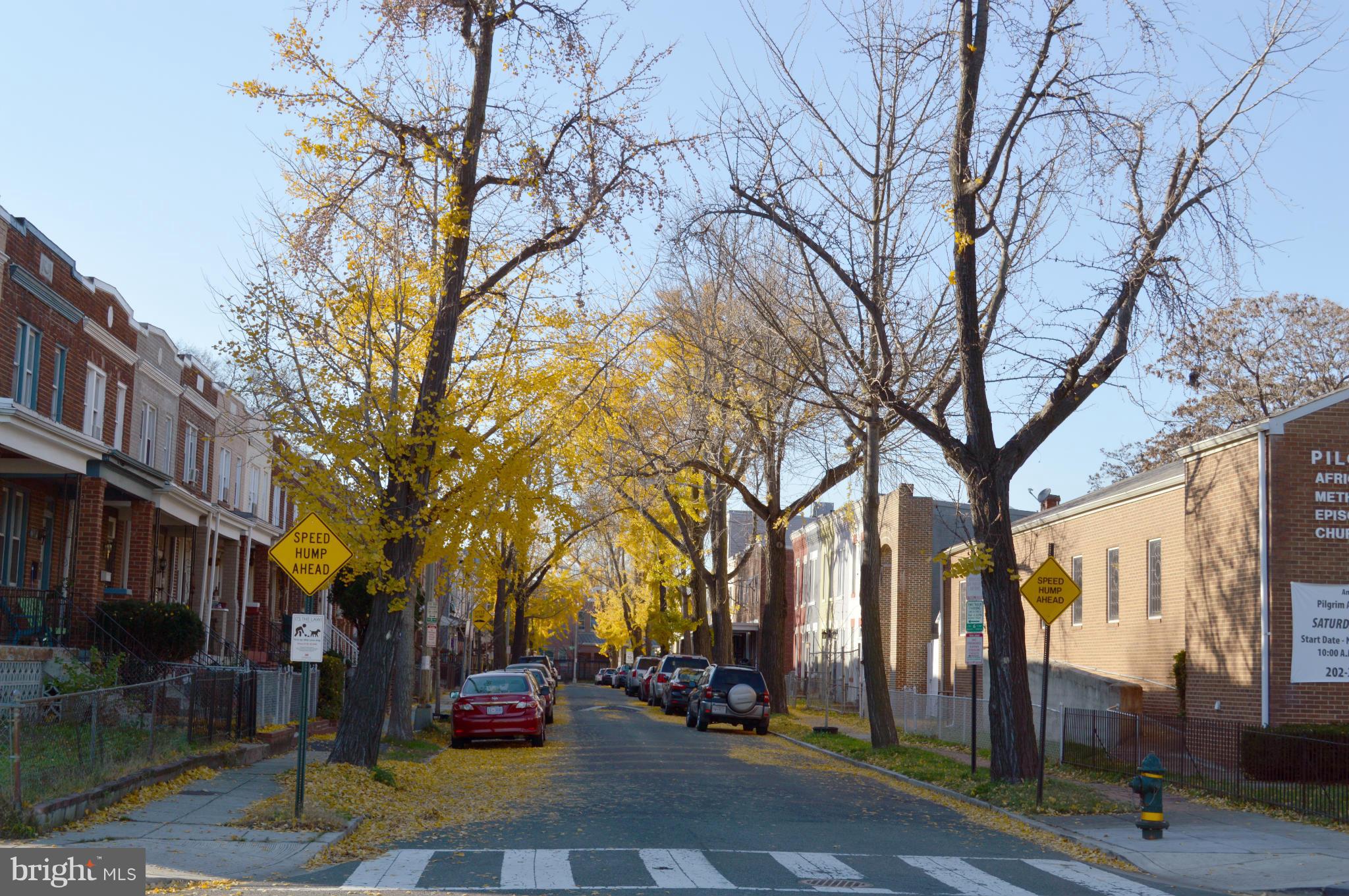1905 Rosedale Street Northeast Washington, DC 20002 - Photo 17 of 30 Community