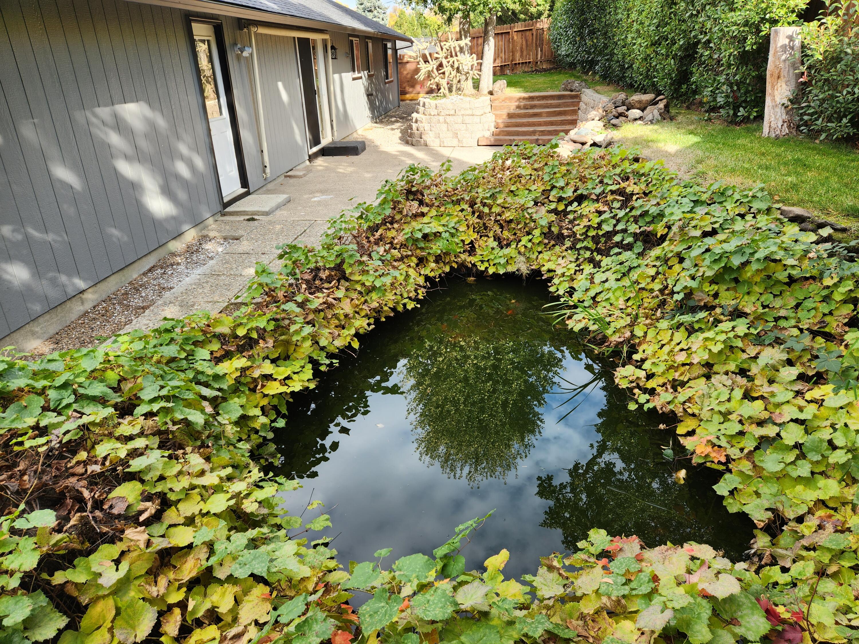 757 Talbot Street Eagle Point, OR 97524 - Photo 24 of 28 Gallery Image 24