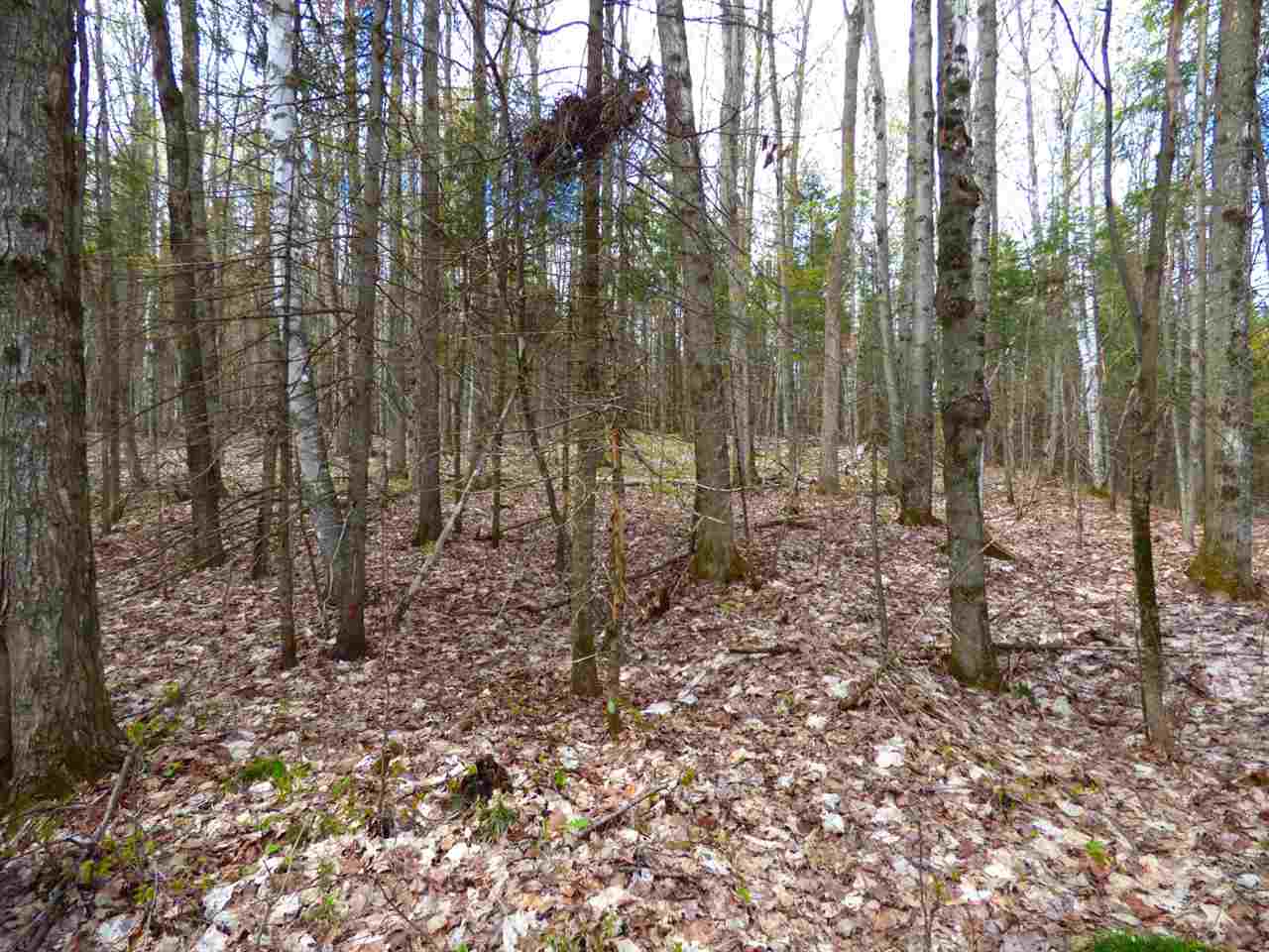 181 Corkins Road Charleston, VT 05872 - Photo 54 of 60 Gallery Image 54