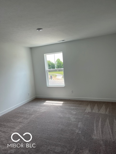 206 Winding Brk Way Pendleton, IN 46064 - Photo 9 of 16 Gallery Image 9
