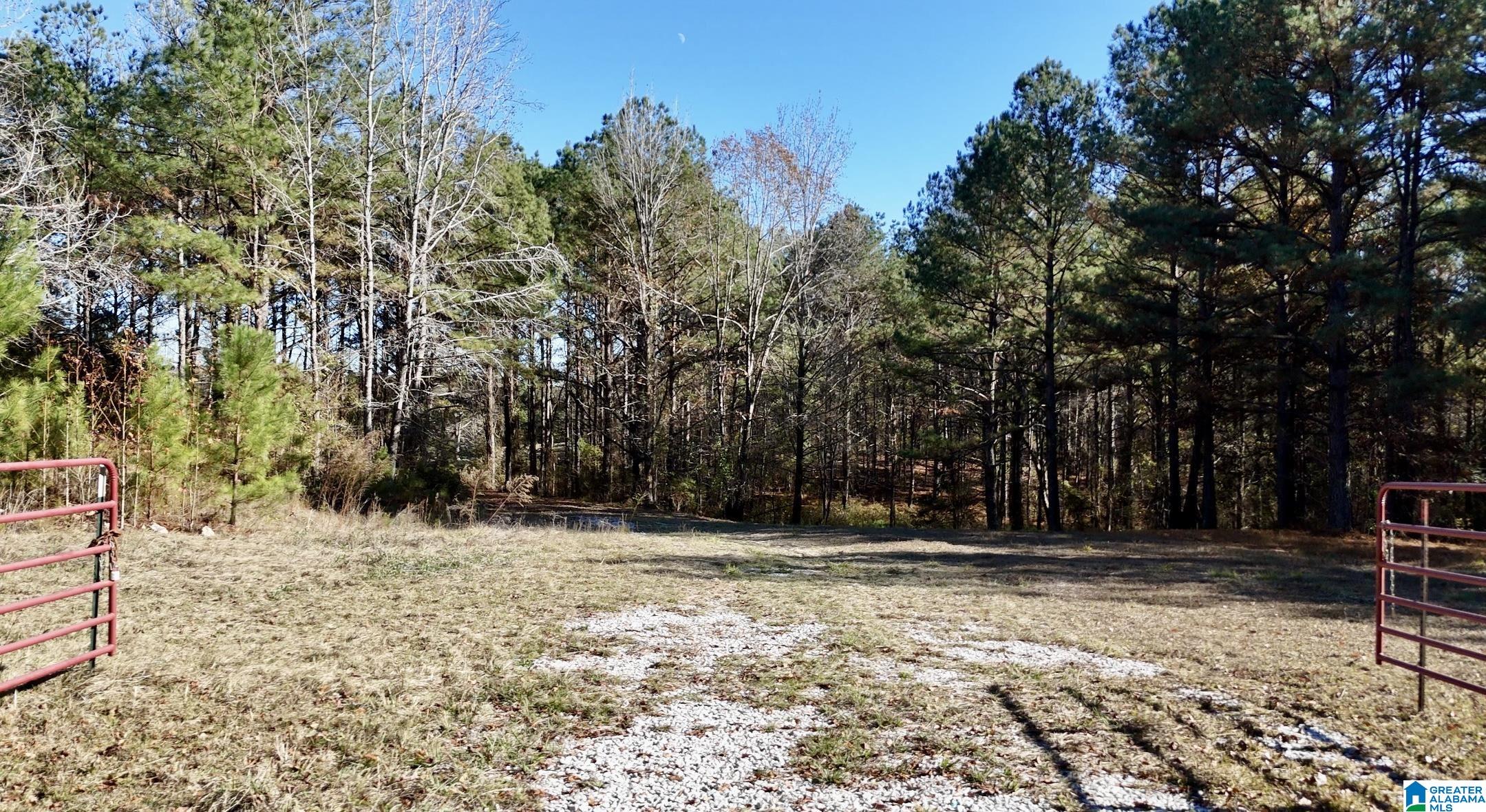 10000 Eastern Valley Road, Unit 10000 West Blocton, AL 35184 - Photo 10 of 21