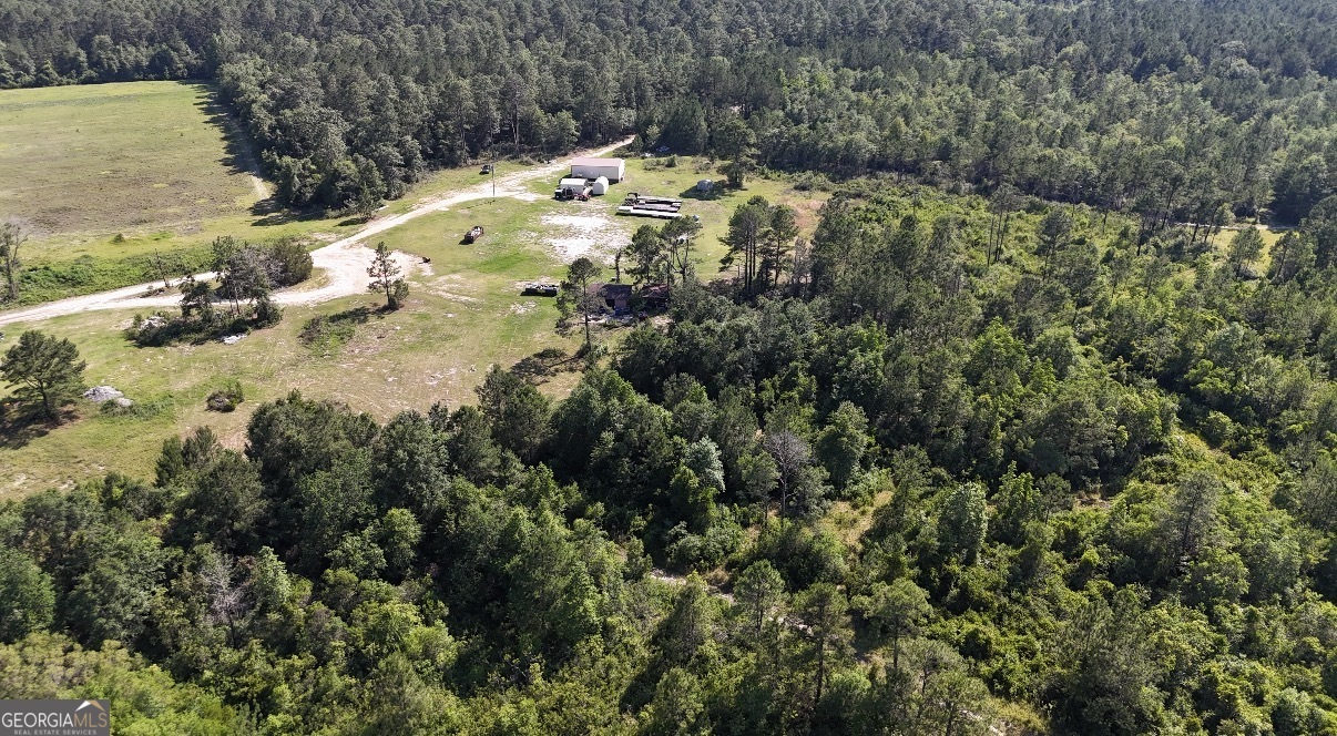 1087 Green Morgan School Road Clyo, GA 31303 - Photo 8 of 24