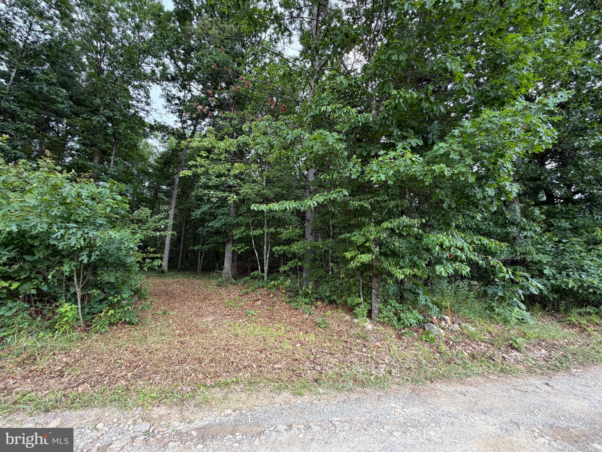Lot 8-2ac Lot 8-2ac Grizzly Road Mathias, WV 26812 - Photo 3 of 18