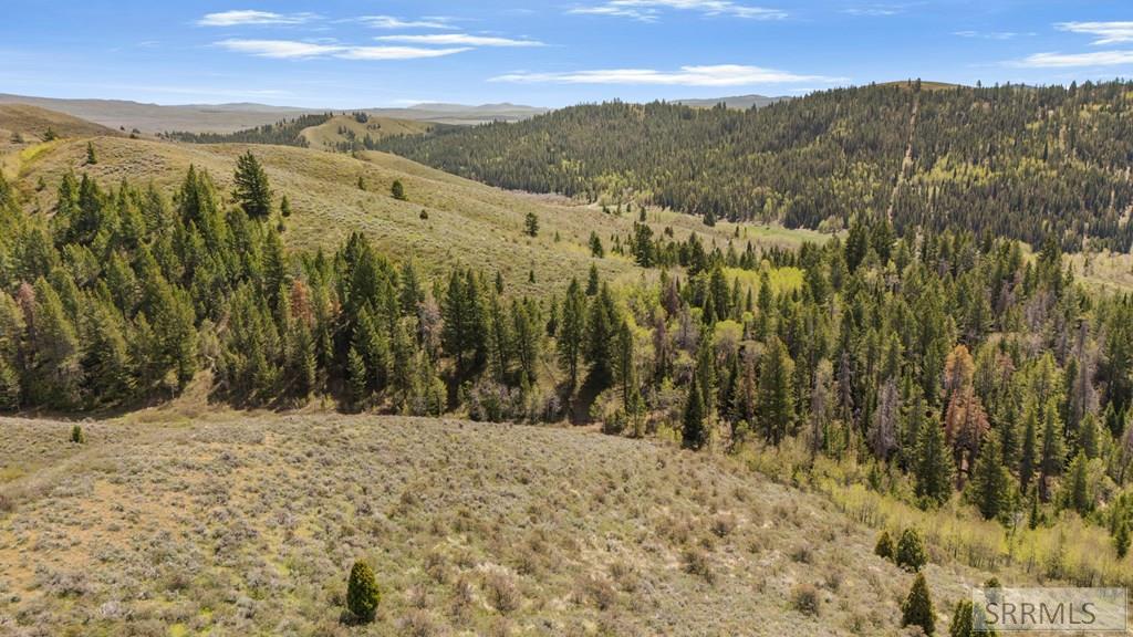 Tbd Sellers Creek Road Firth, ID 83236 - Photo 14 of 32 Gallery Image 14