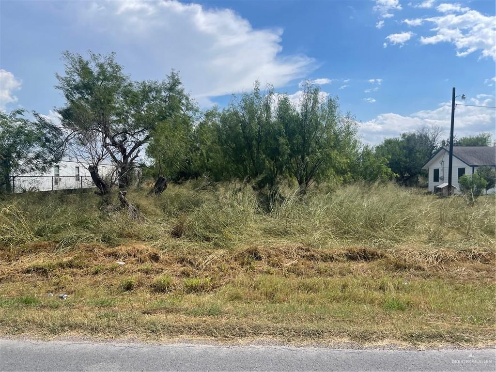 0 East Curve Road Edinburg, TX 78542 - Photo 1 of 1 Gallery Image 1