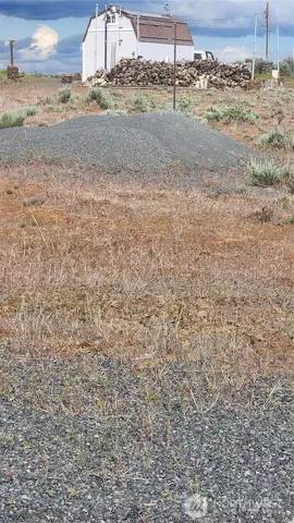 a view of a dry yard