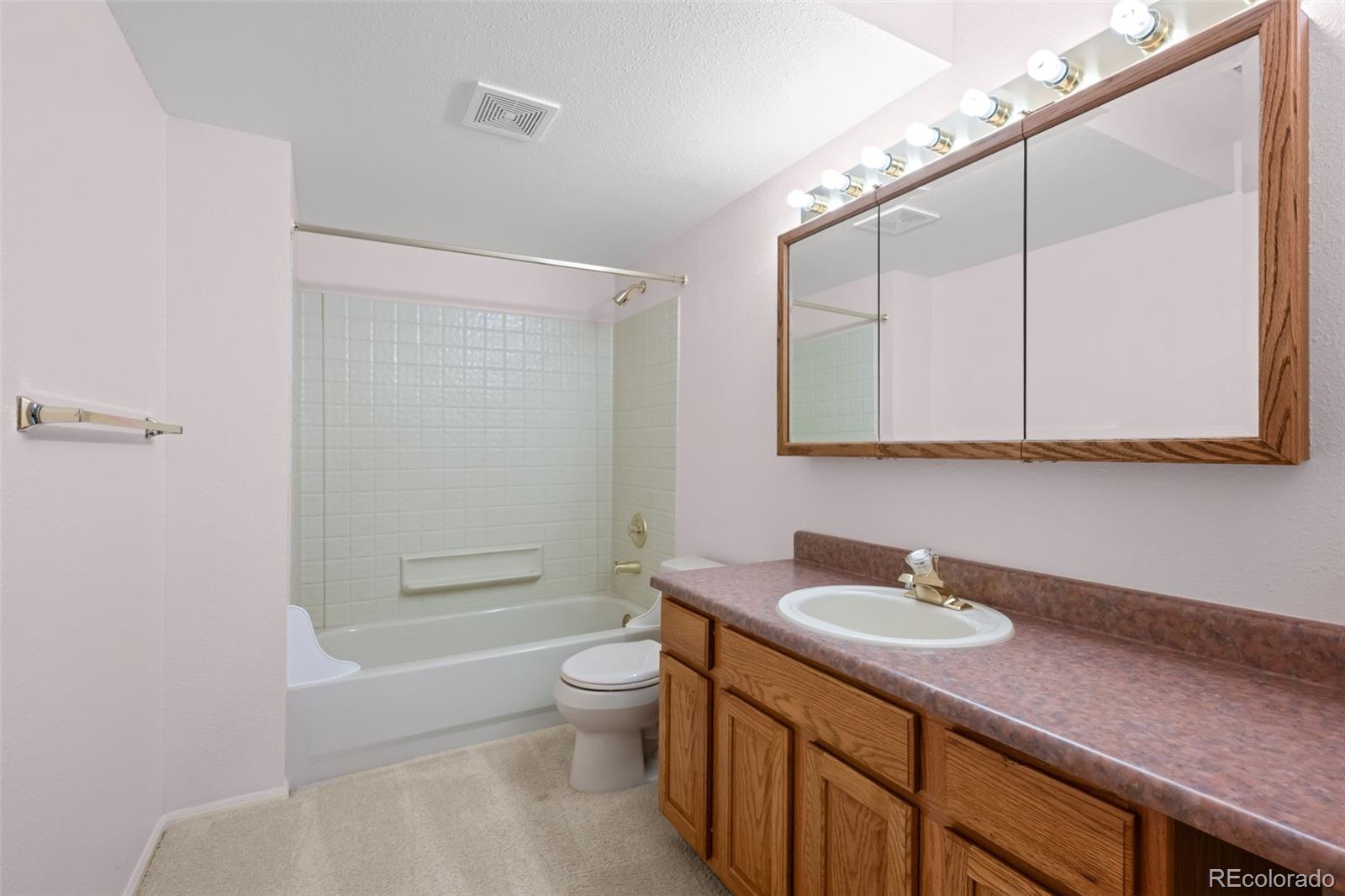 8802 Greenwich Street Highlands Ranch, CO 80130 - Photo 37 of 50