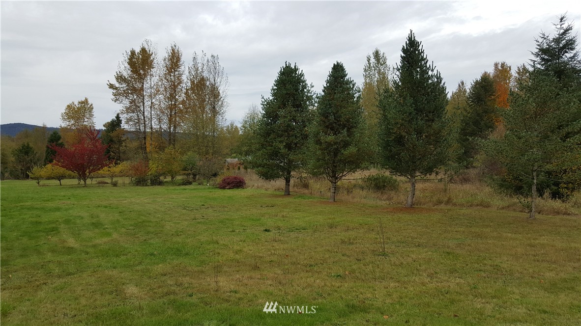 11202 180th Lane Southwest Rochester, WA 98579 - Photo 22 of 25