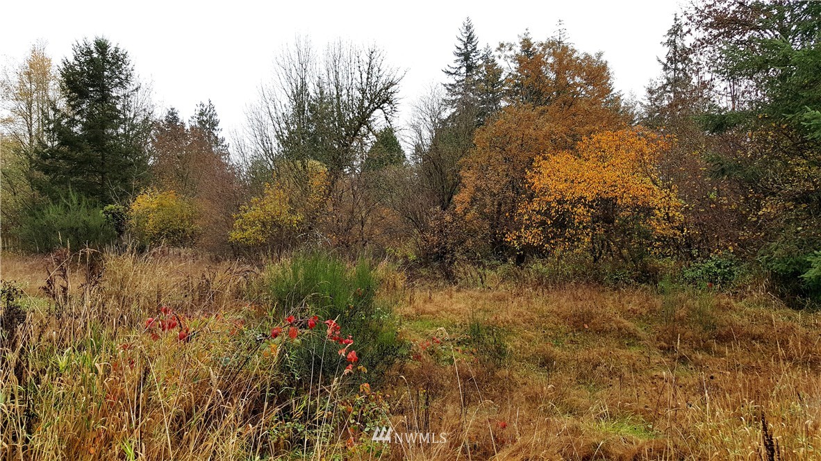 11202 180th Lane Southwest Rochester, WA 98579 - Photo 23 of 25