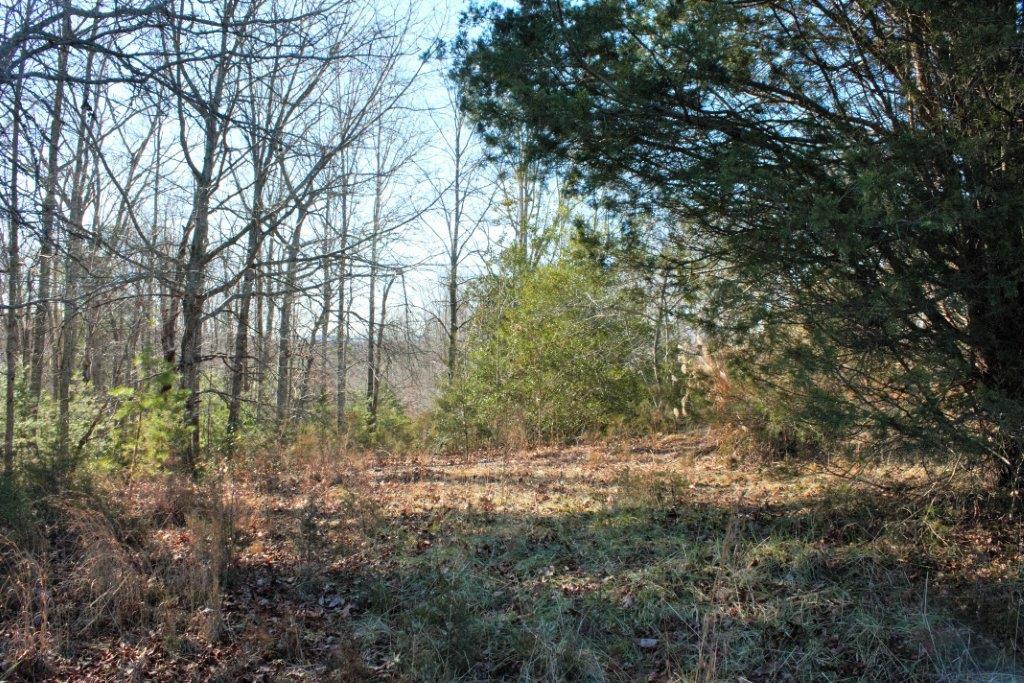 0 Old Ridge Drive Hardy, VA 24101 - Photo 1 of 17 View of Property