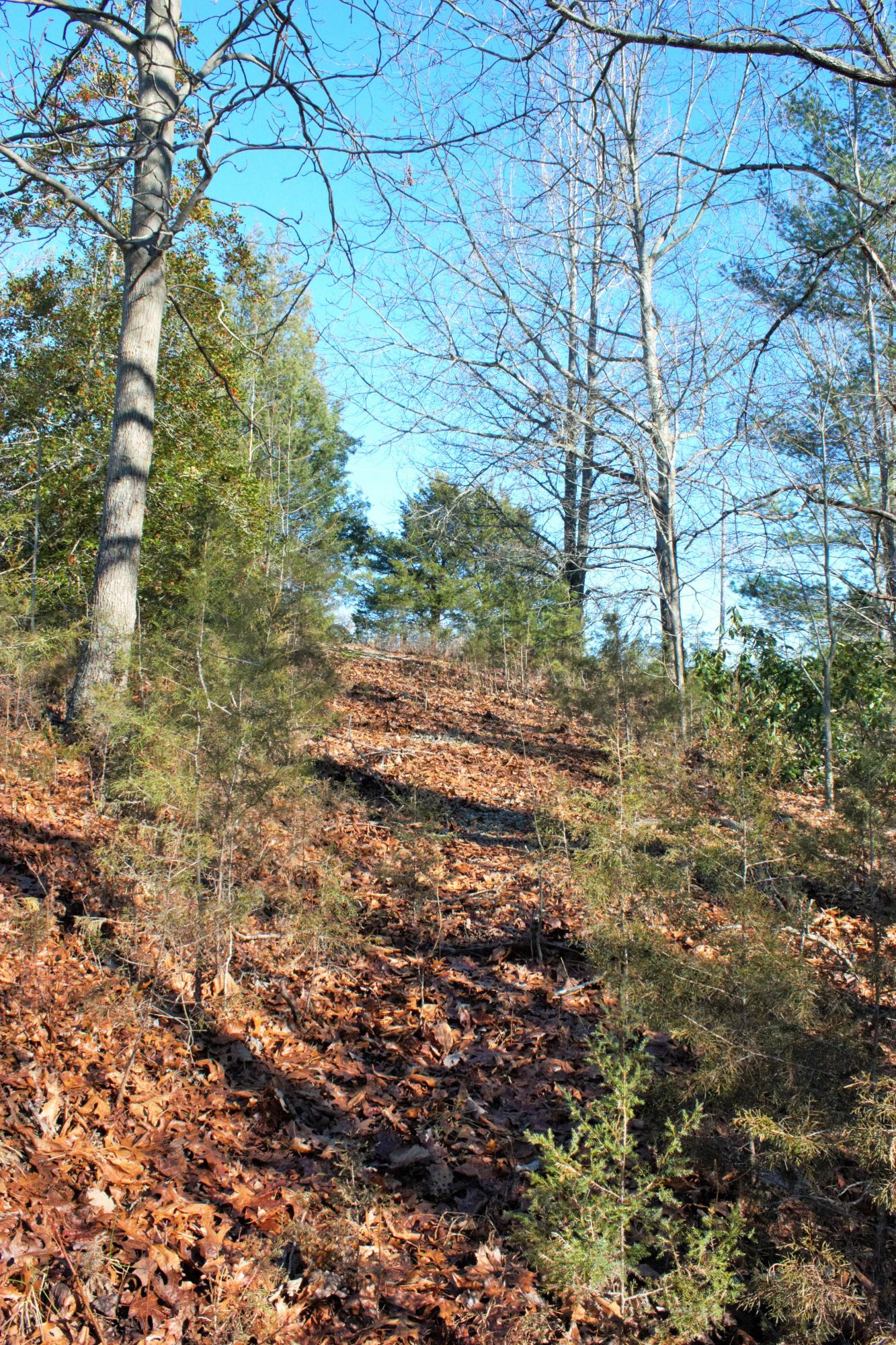 0 Old Ridge Drive Hardy, VA 24101 - Photo 11 of 17 IMG_6458