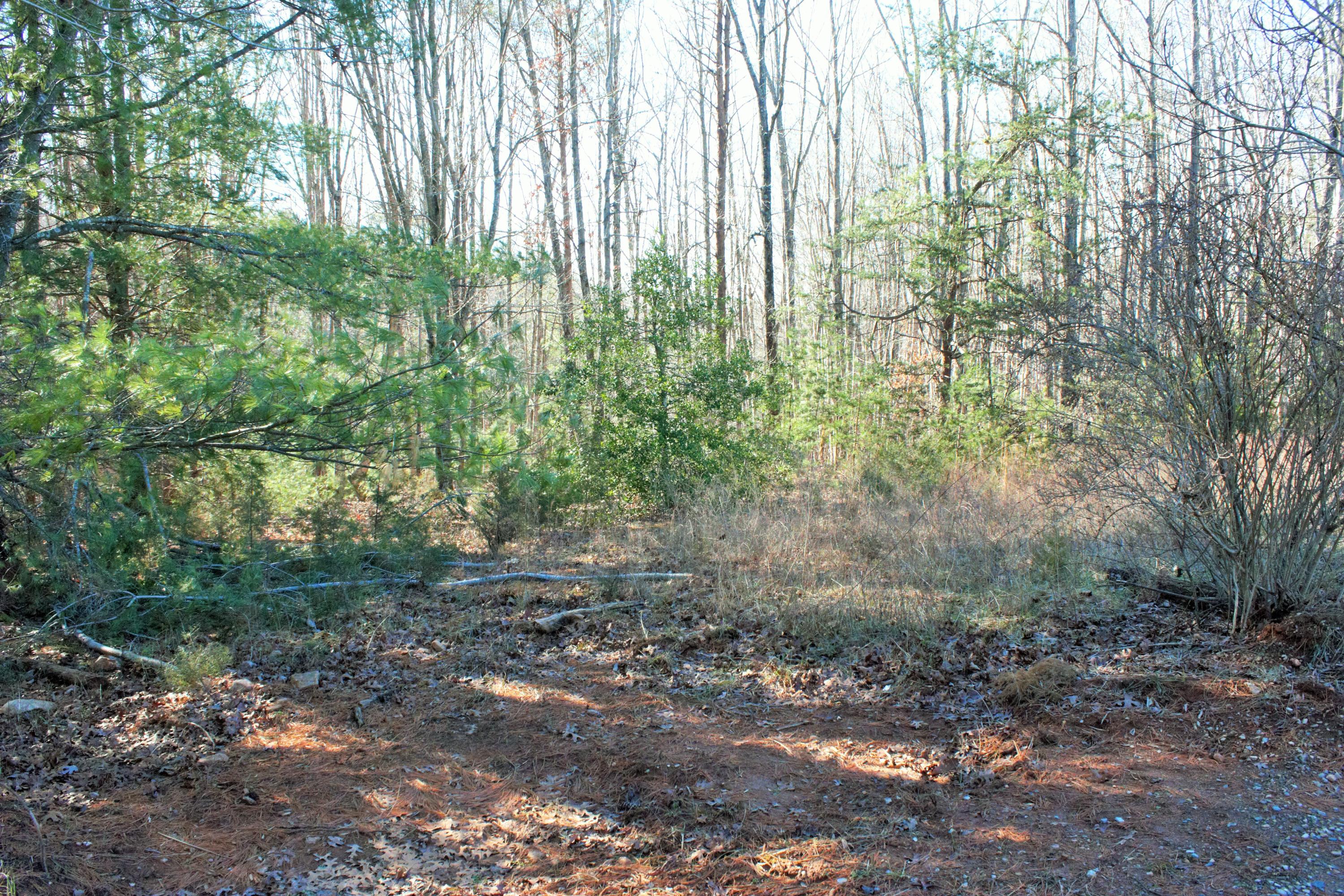0 Old Ridge Drive Hardy, VA 24101 - Photo 15 of 17 IMG_6463