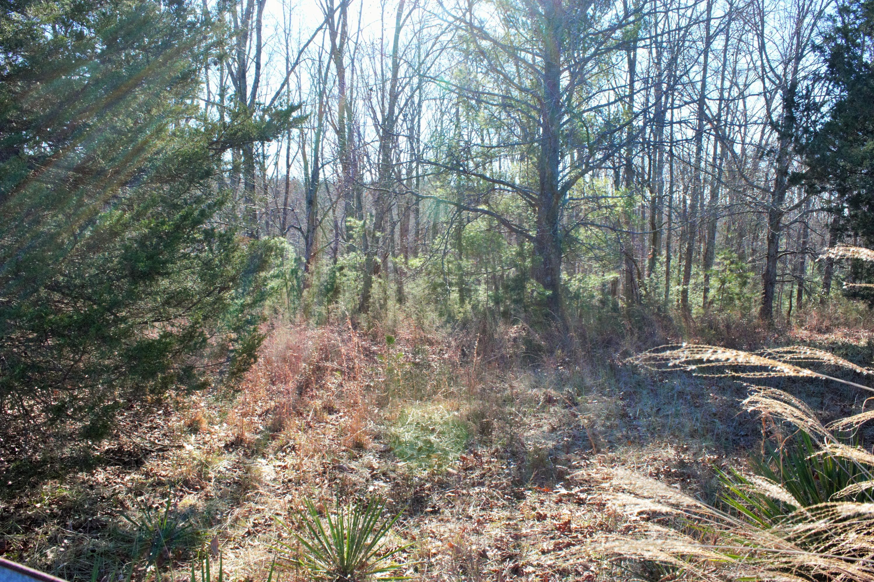 0 Old Ridge Drive Hardy, VA 24101 - Photo 16 of 17 IMG_6464