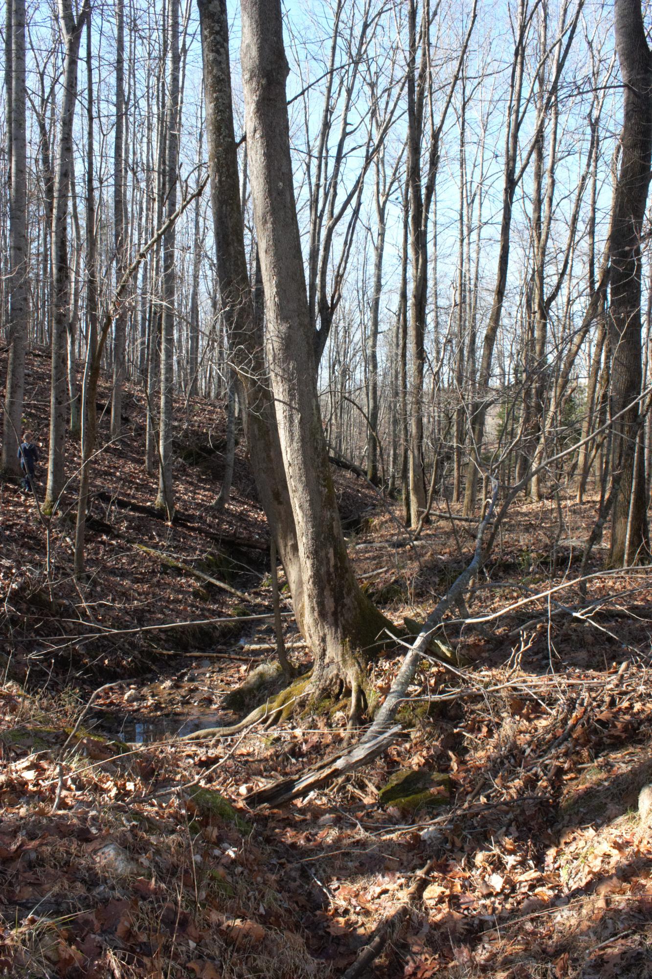 0 Old Ridge Drive Hardy, VA 24101 - Photo 2 of 17 IMG_6447
