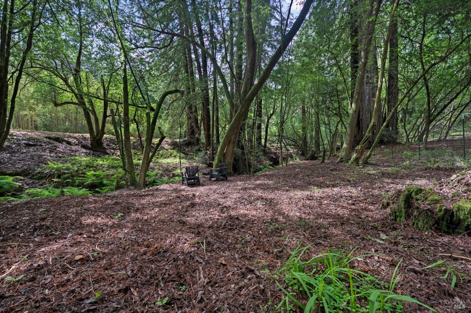 750 Wagnon Road Sebastopol, CA 95472 - Photo 64 of 75