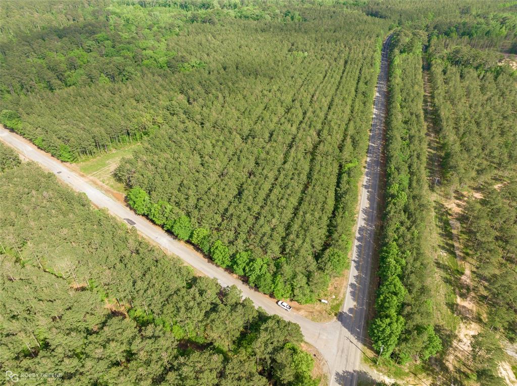 14429 Highway 157 Benton, LA 71006 - Photo 2 of 5 a view of a green yard with large trees