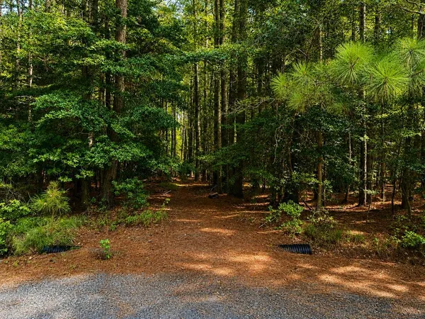 $40,000 | 34 Piney Lane, Unit 34, Onancock, VA 23417
