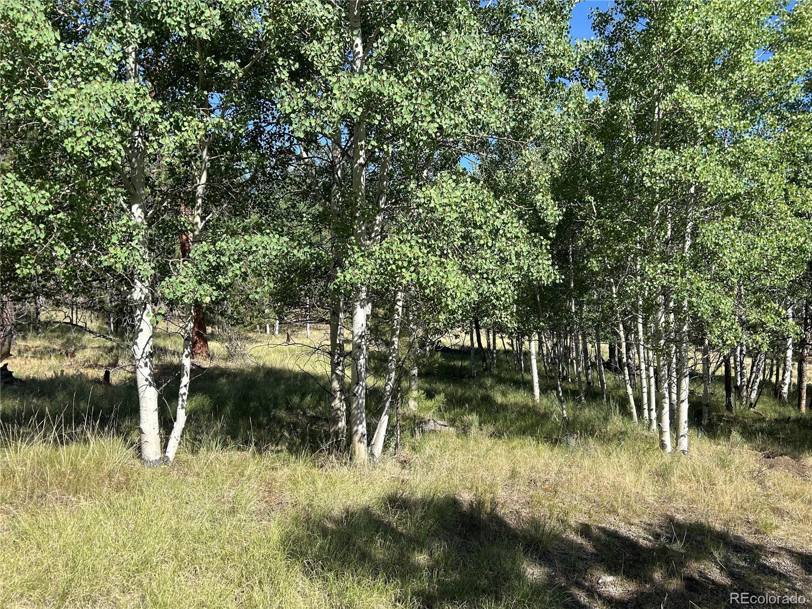 519 Hay Hook Way Hartsel, CO 80449 - Photo 13 of 13 a view of a lake with a tree
