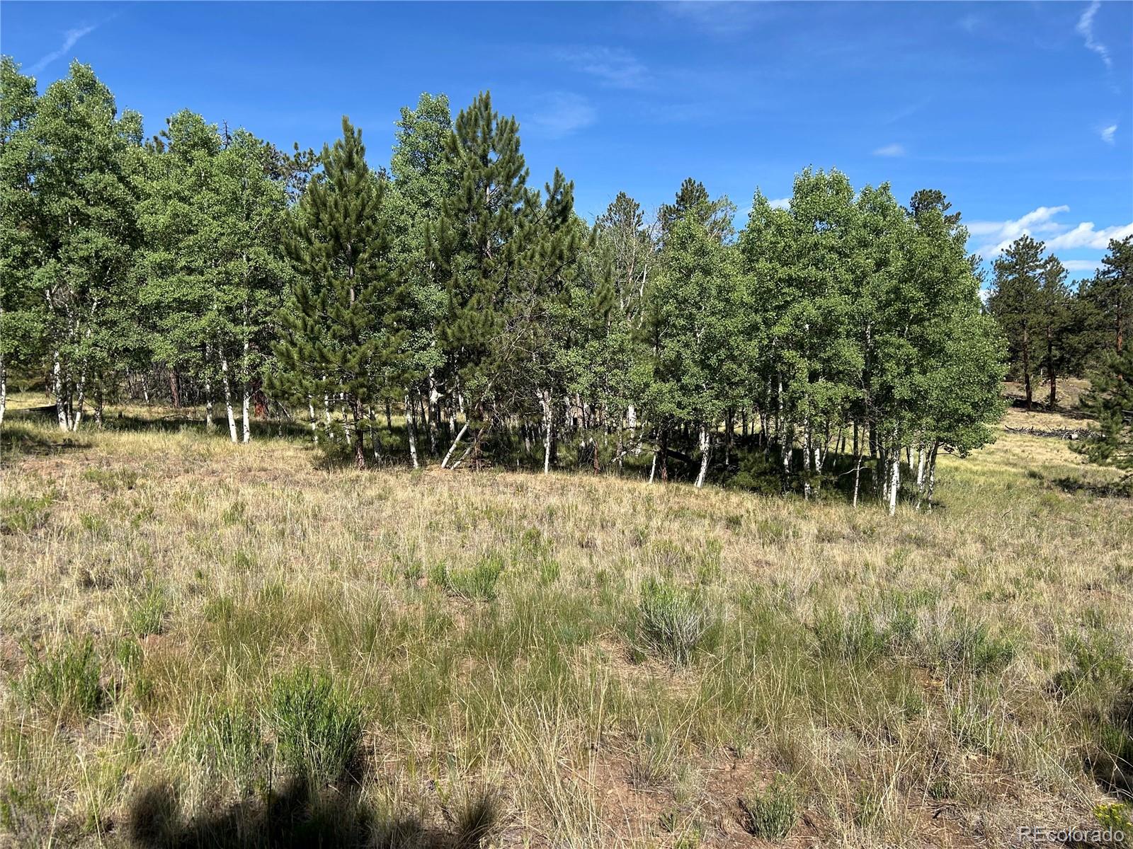 519 Hay Hook Way Hartsel, CO 80449 - Photo 2 of 13 a view of outdoor space and trees