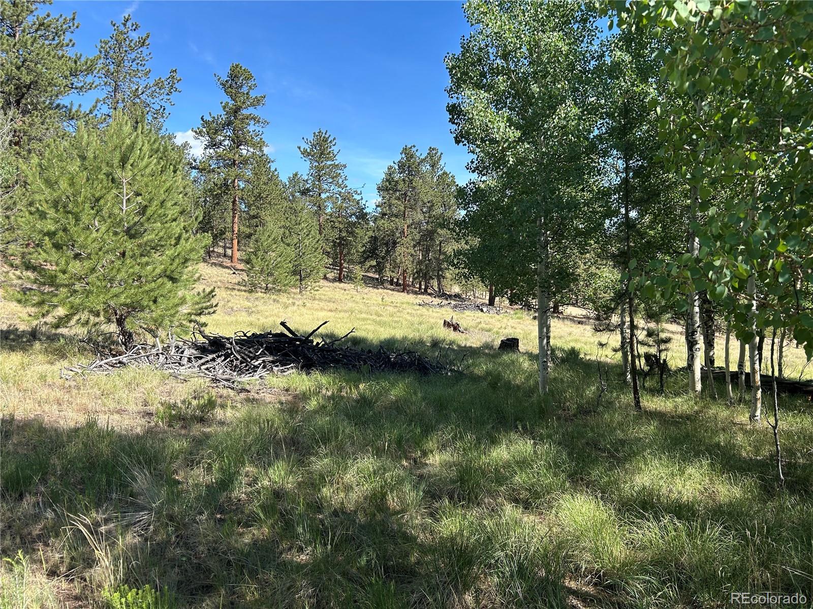 519 Hay Hook Way Hartsel, CO 80449 - Photo 3 of 13 a view of lake view and trees