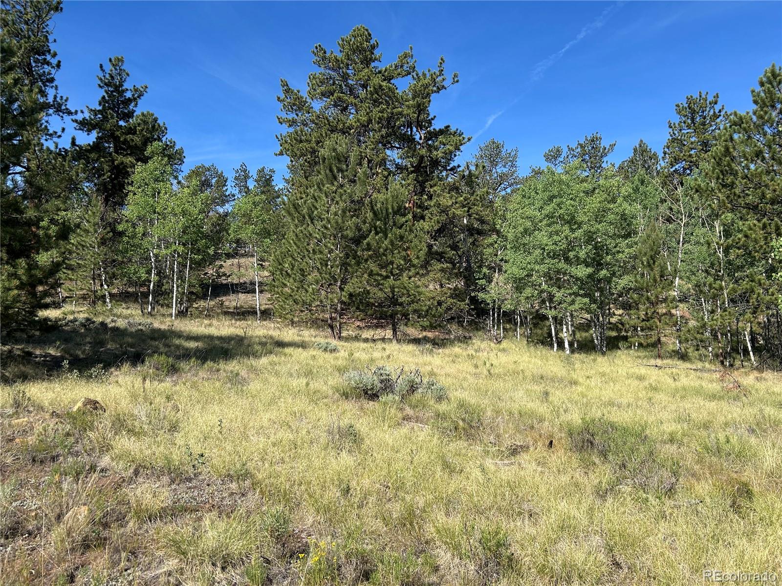 519 Hay Hook Way Hartsel, CO 80449 - Photo 4 of 13
