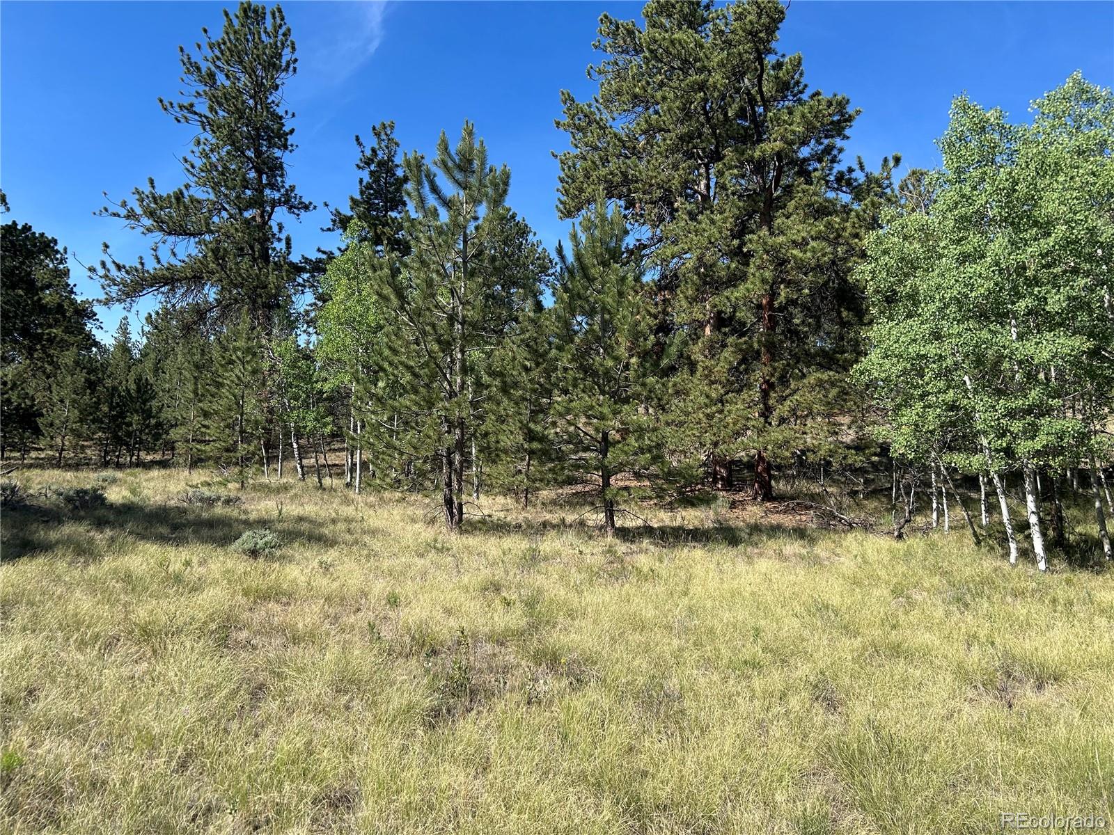 519 Hay Hook Way Hartsel, CO 80449 - Photo 5 of 13 a view of swimming pool with a yard