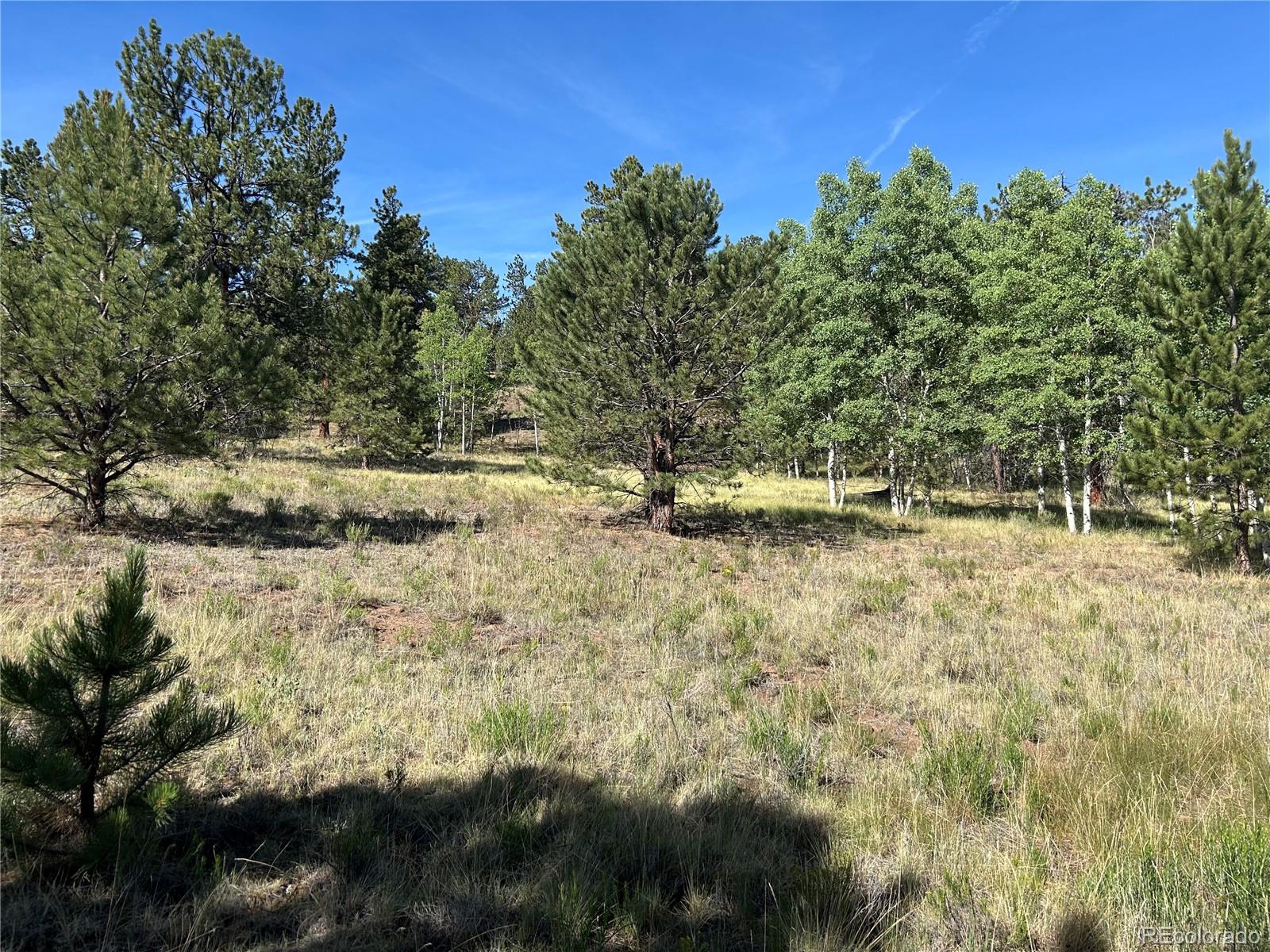519 Hay Hook Way Hartsel, CO 80449 - Photo 6 of 13 a view of outdoor space and yard